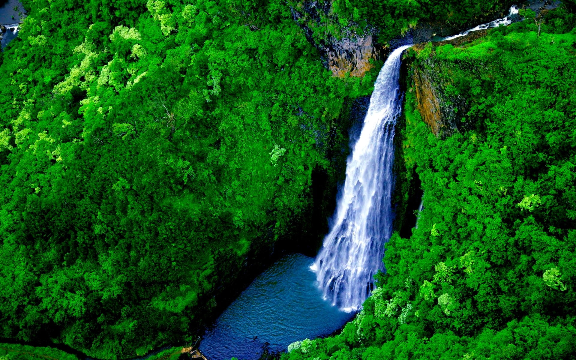 1080P, flowing water, flowing, beauty in nature, green color, nature, outdoors, falling water, scenics - nature, power in nature, plant, no people, rainforest, HD Wallpaper