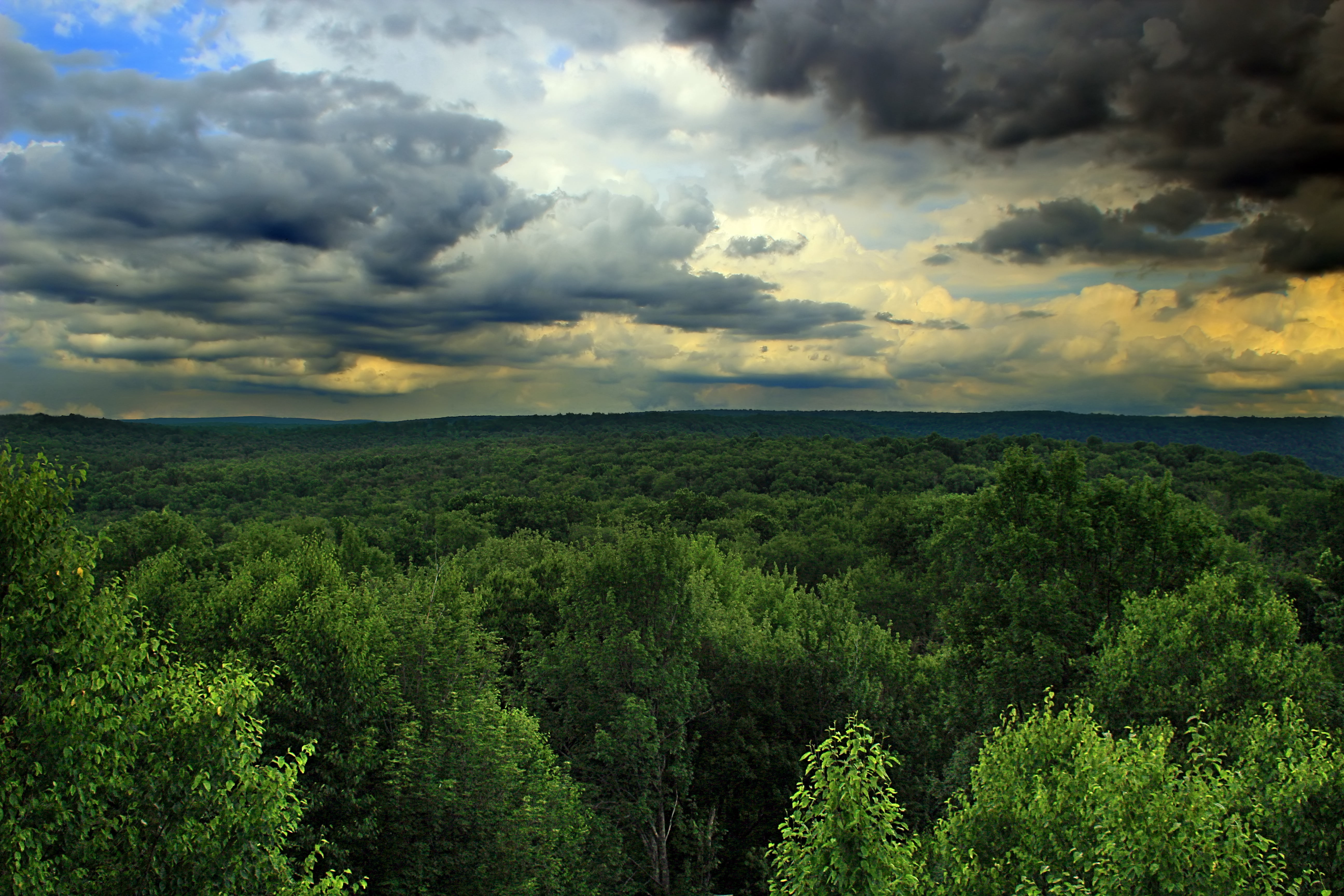 top, Loyalsock State Forest, dusk  summer, clouds, Sullivan, forest, hiking, sky, landscape, hills, blue, Lycoming County, Vista, trees, creative commons, HD Wallpaper