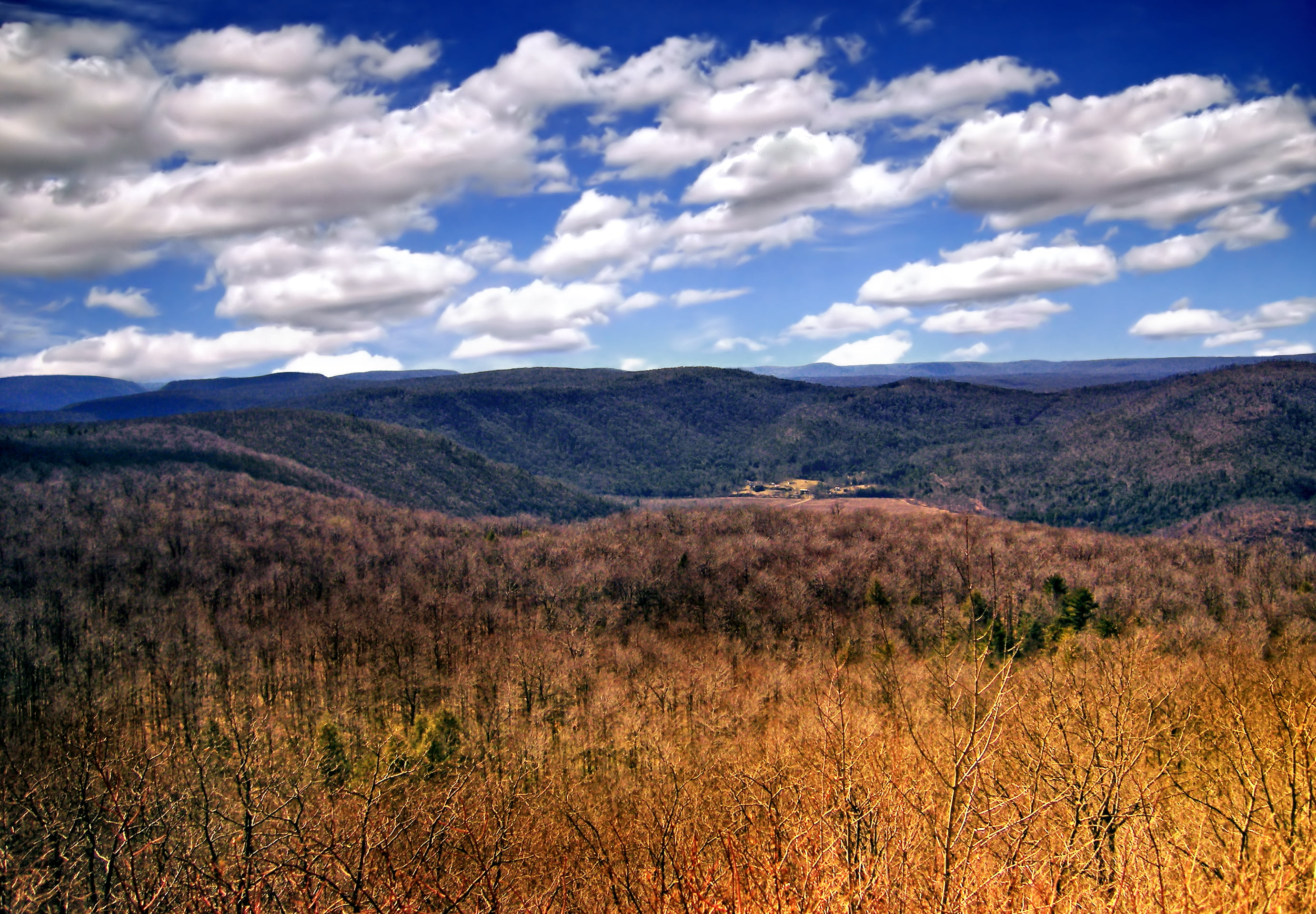 Loyalsock State Forest, scenics, brown field, tree, Sullivan County, outdoors, Endless Mountains, cloudy, valley, hiking, Amphitheater, yellow, nature, HD Wallpaper