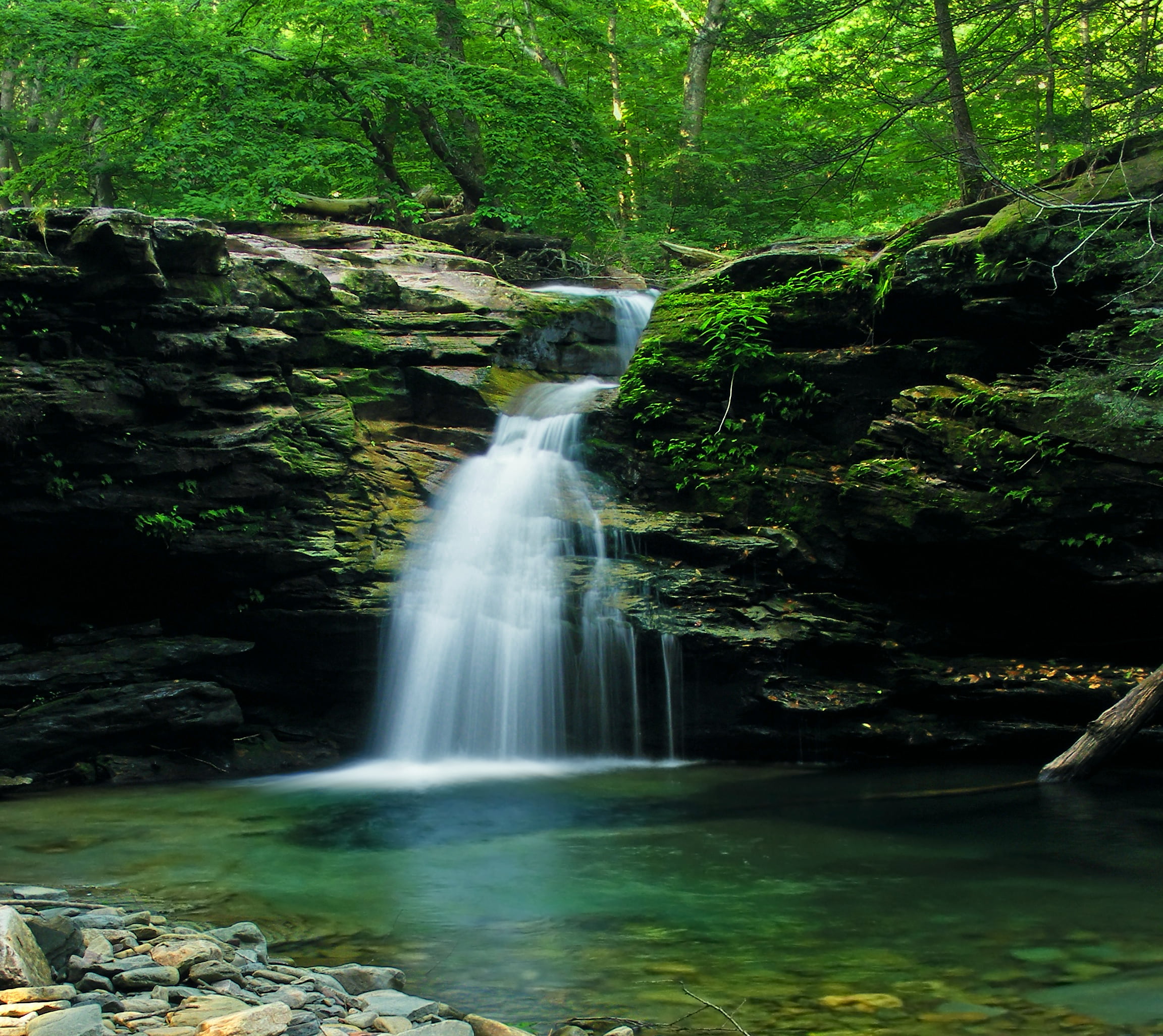 landscape, Recessed, Sullivan County, low light, Heberly Run, trees, water, tree, river, photography, Pennsylvania, State Game Lands, scenics, stream, water falls, HD Wallpaper