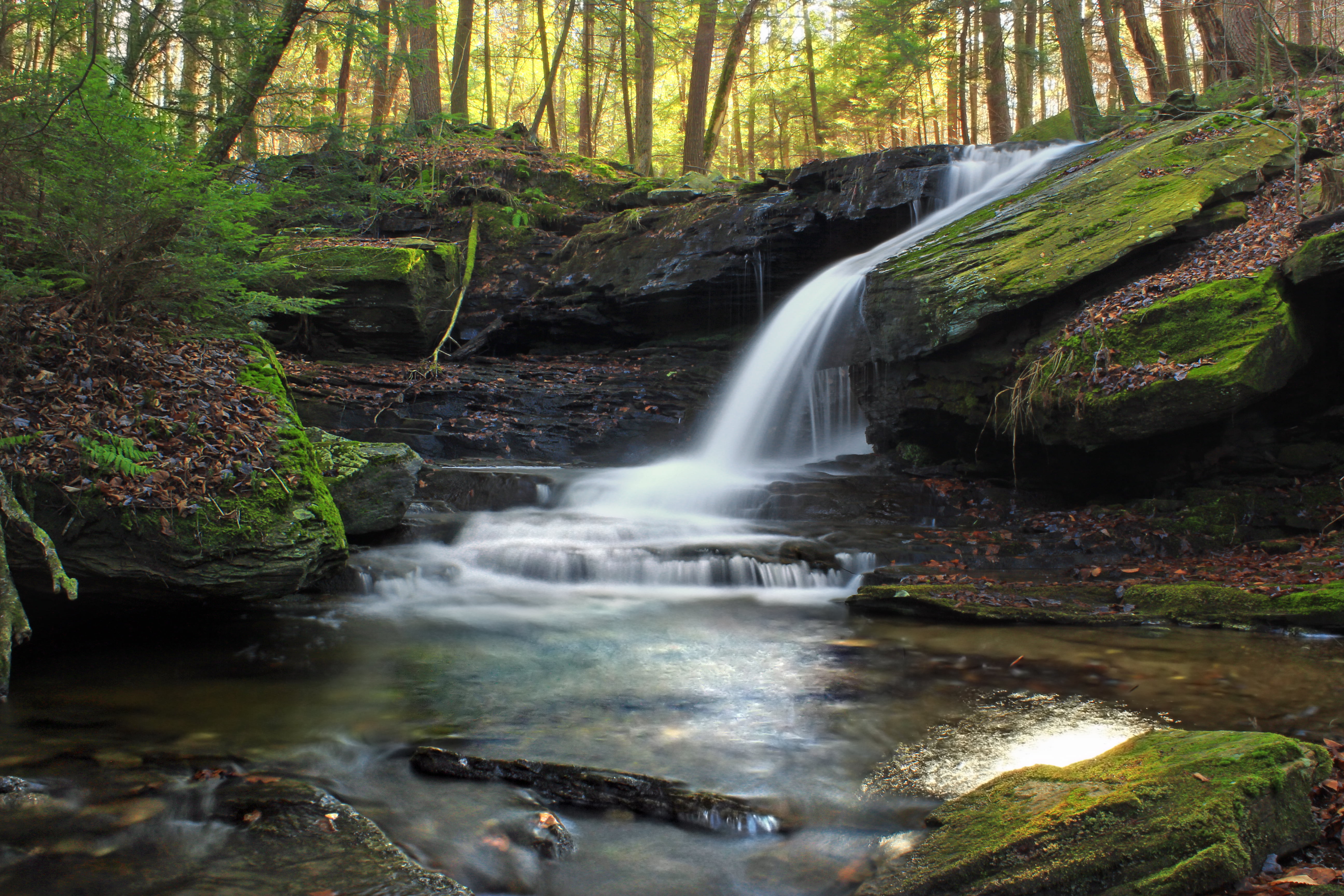 landscape, creek, coniferous, rocks, trees, river, Fern Rock, waterfallss, Pennsylvania, outdoors, Endless Mountains, creative commons, Sullivan County, HD Wallpaper