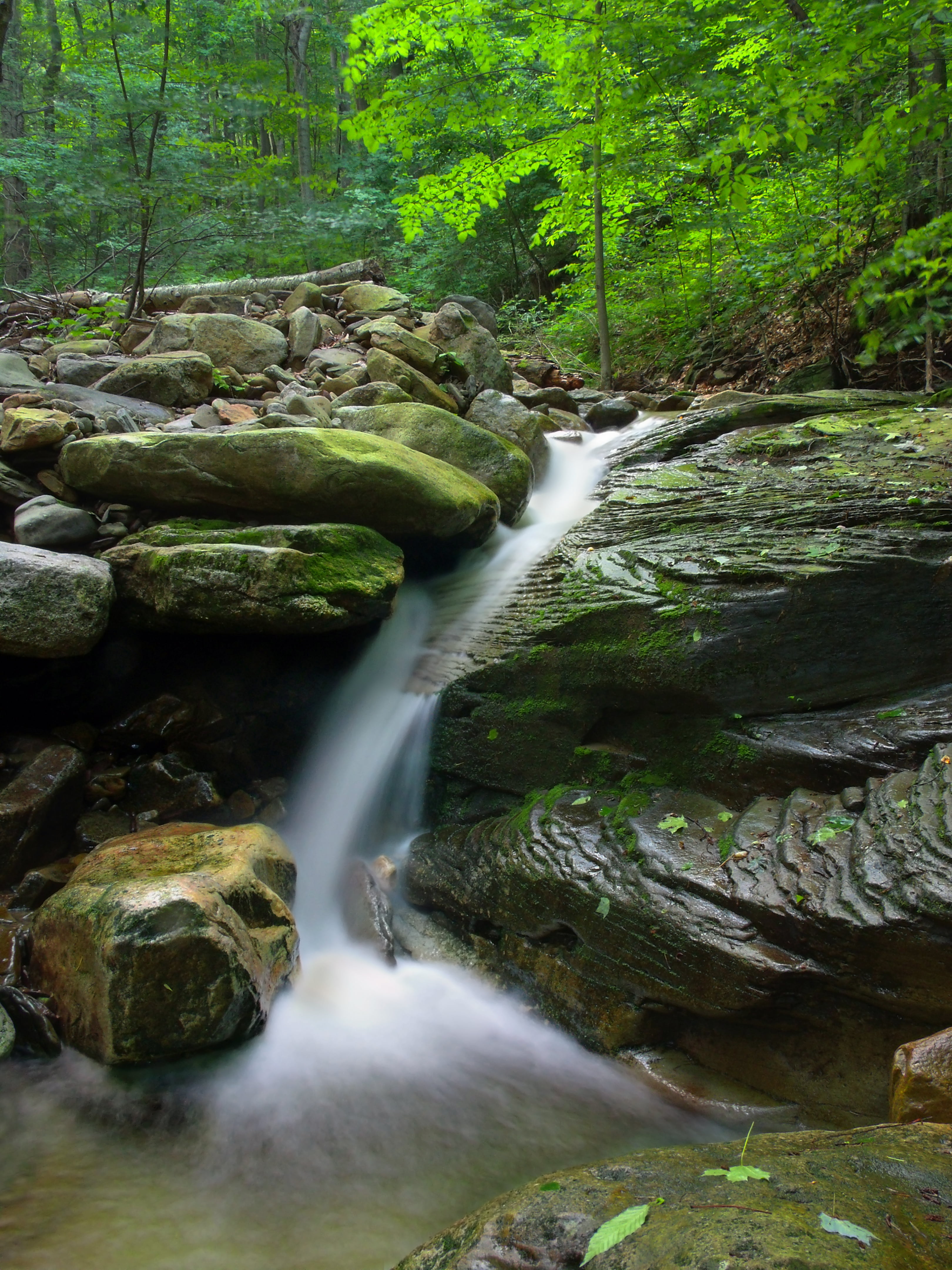 Endless Mountains, green Color, running, creek, waterfall, tree, near, cascades, nature, hiking, outdoors, creative commons, formation, river, scenics, Phone HD Wallpaper