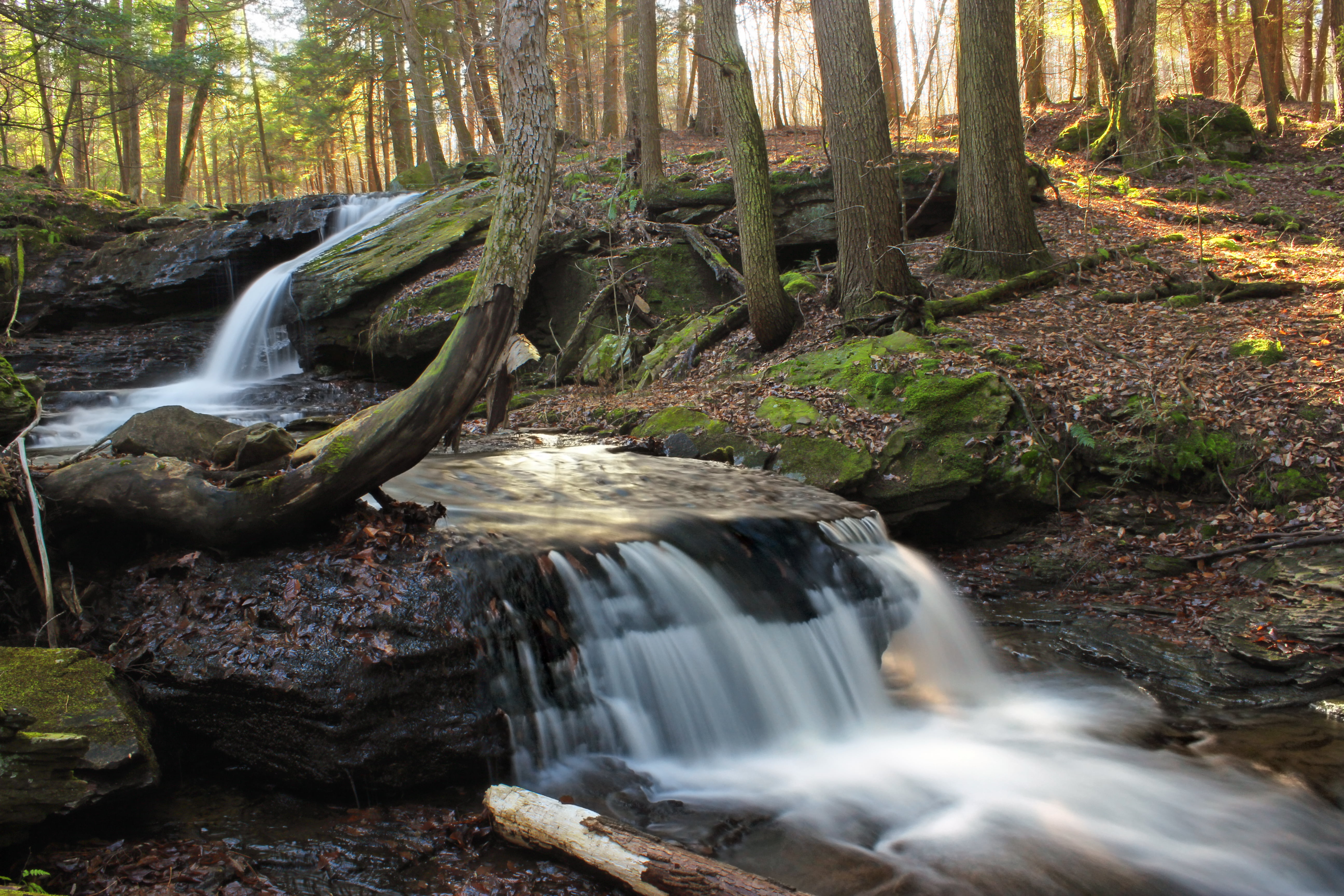 Fern Rock, Ketchum, waterfalls, water, Nature Trail, beauty In Nature, Tsuga canadensis, rocks, landscape, leaf litter, freshness, coniferous, Loyalsock Trail, HD Wallpaper