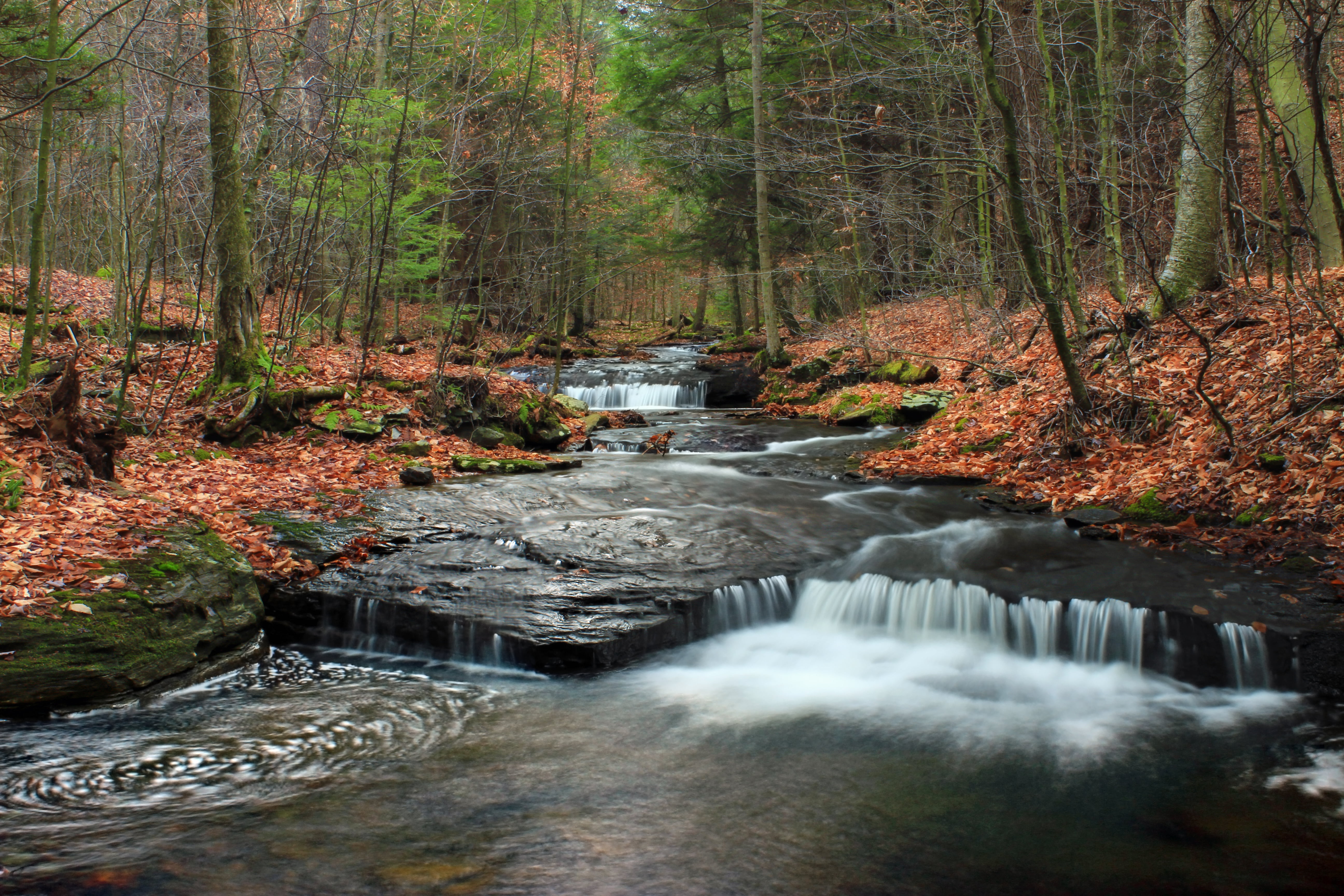 hiking, river, waterfall, Pennsylvania, Ketchum, photographic, outdoors, stream, forest, Nature Trail, West Branch, 5K, winter, freshness, Loyalsock State Forest, HD Wallpaper