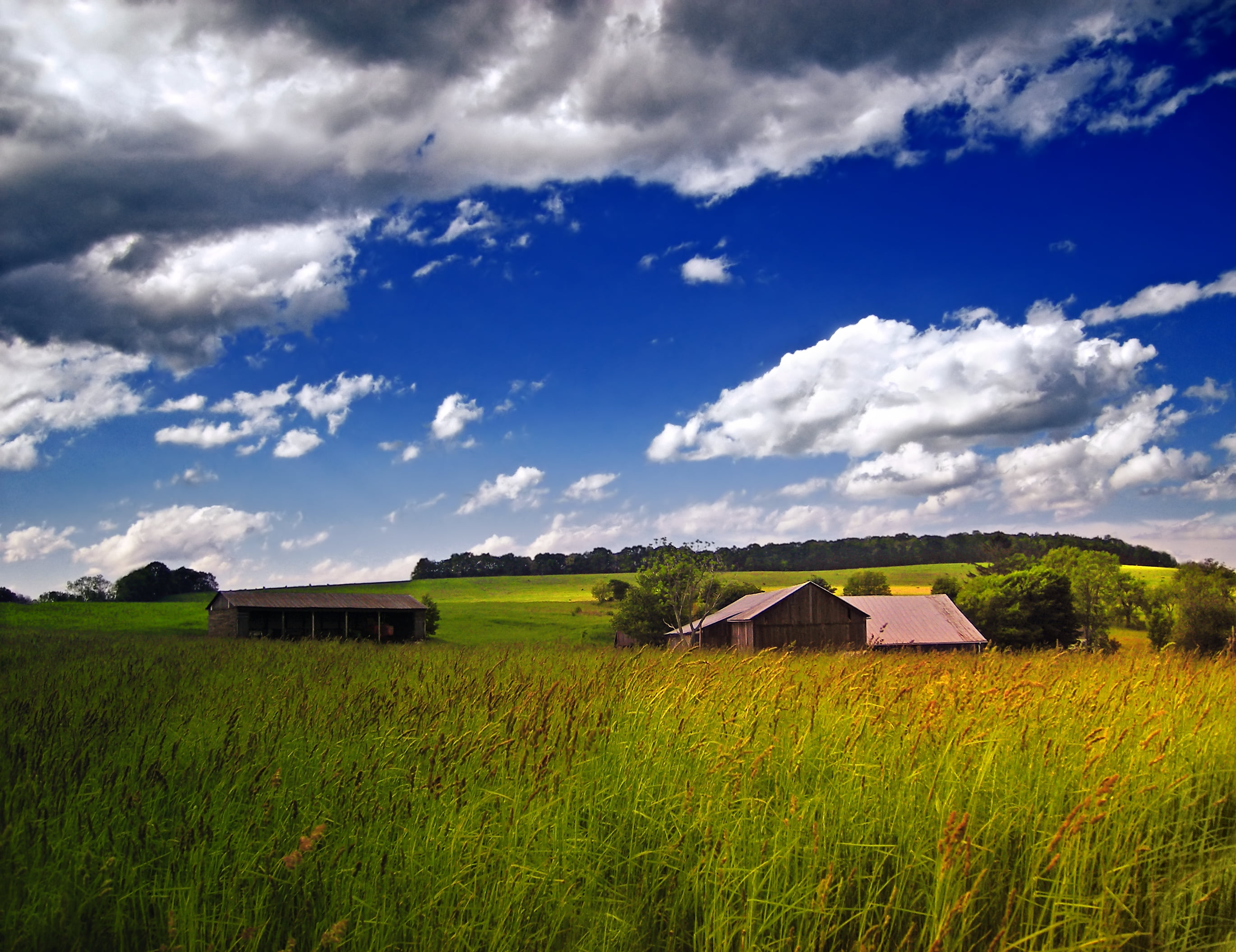 summer, houses, barn, grass, low light, rural Scene, Jordan Township, green, Lycoming County, green grass, stratocumulus, spring, agriculture, rural, sky, HD Wallpaper