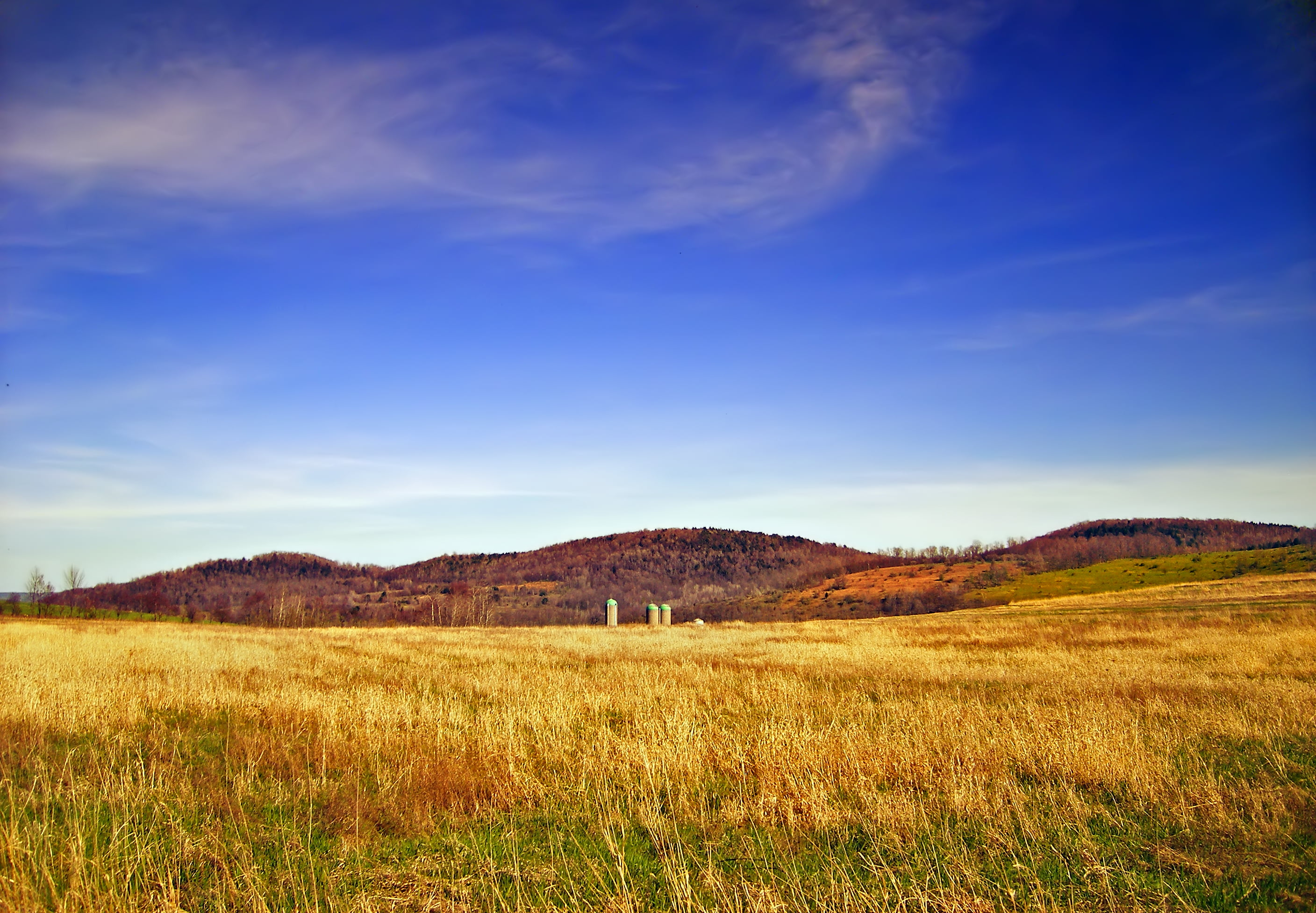 sky, forest, spring, Delmar Township, outdoors, brown, tree, landscape, sunlight, Endless Mountains, creative commons, field  farm, grass field, 2K, hill, HD Wallpaper