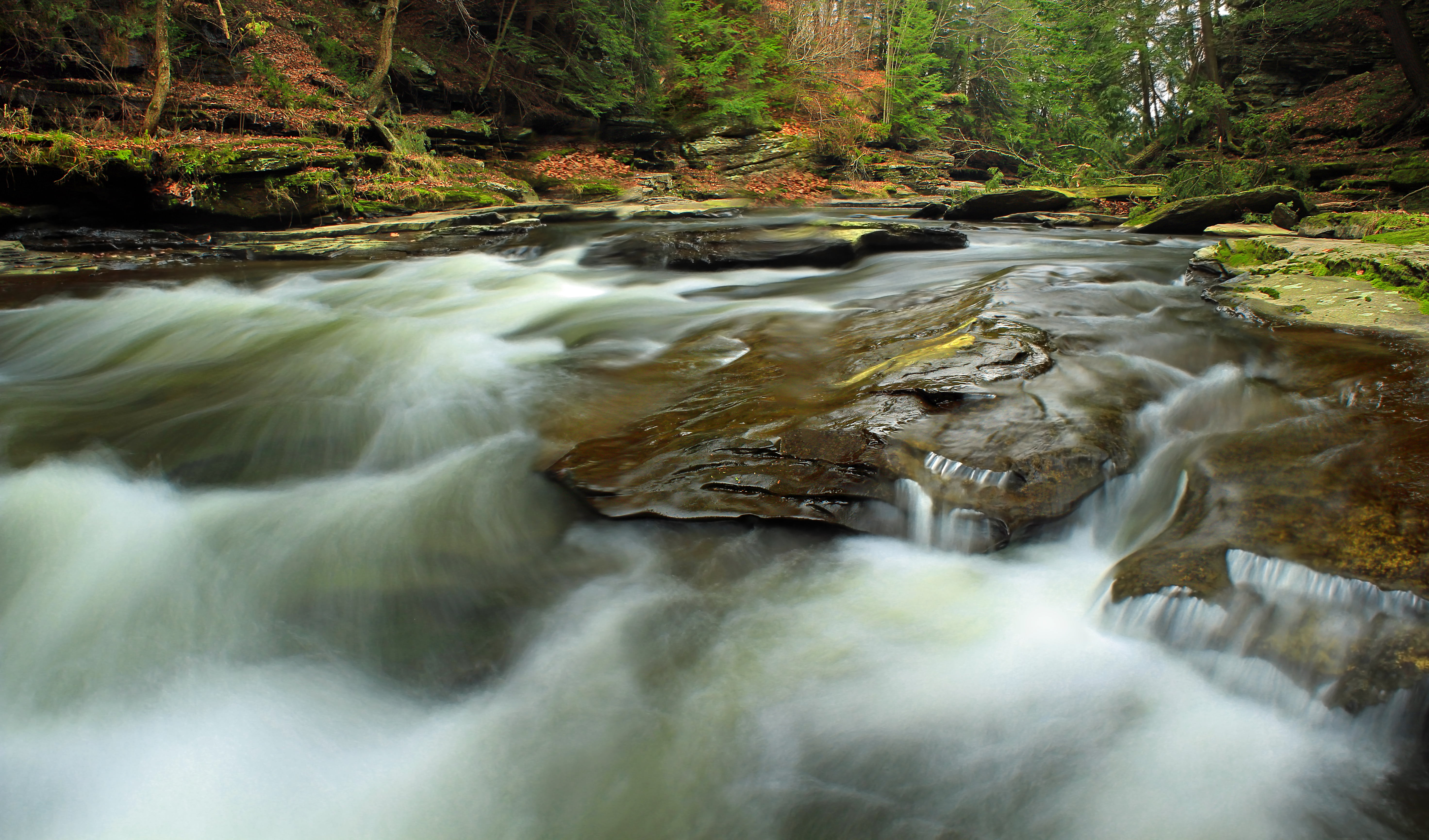 waterfall, South Branch Tunkhannock Creek, landscape, autumn, outdoors, nature, green Color, hiking, Endless Mountains, creative commons, Conservancy, Countryside, HD Wallpaper