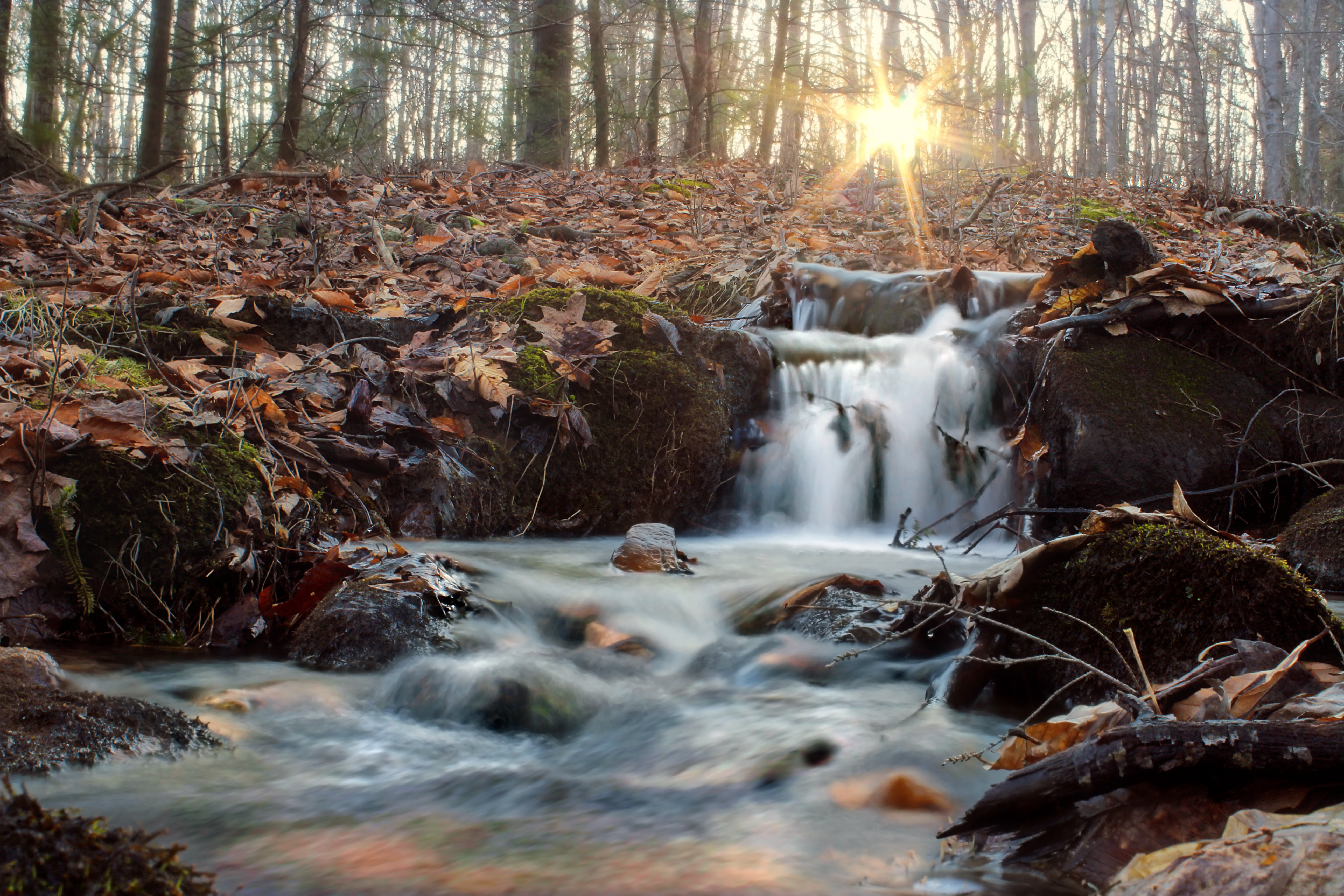 timelapse, spring, Pennsylvania, leaf litter, timelapse photography, nature, landscape, beauty In Nature, autumn, Valley  creek, water, flowing Water, Tributary, HD Wallpaper