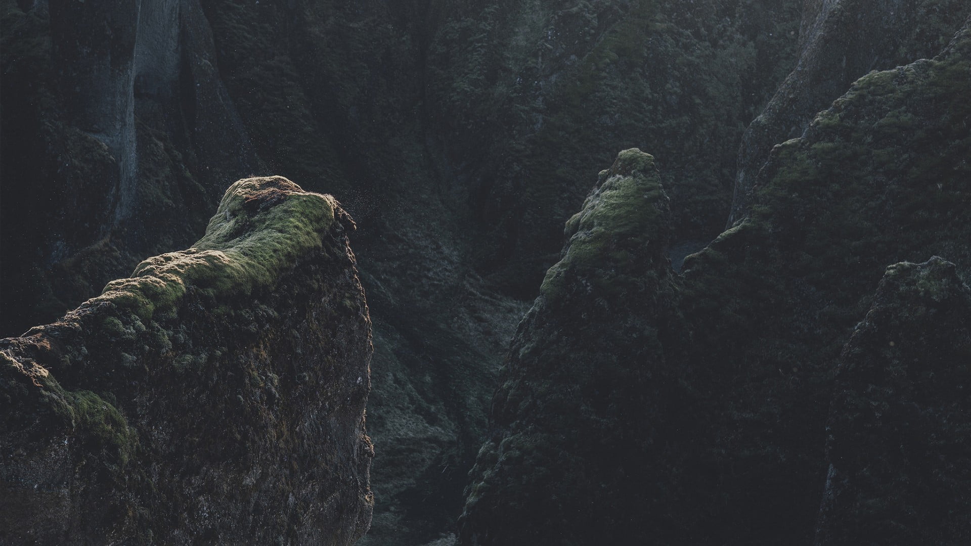 one animal, rock formation, outdoors, day, animal themes, formation, forest, tree, nature, animal wildlife, no people, beauty in nature, tranquility, plant, HD Wallpaper