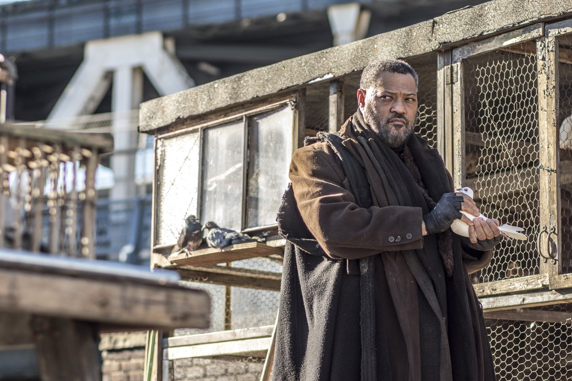 1080P, Movie, John Wick: Chapter 2, Laurence Fishburne, HD Wallpaper