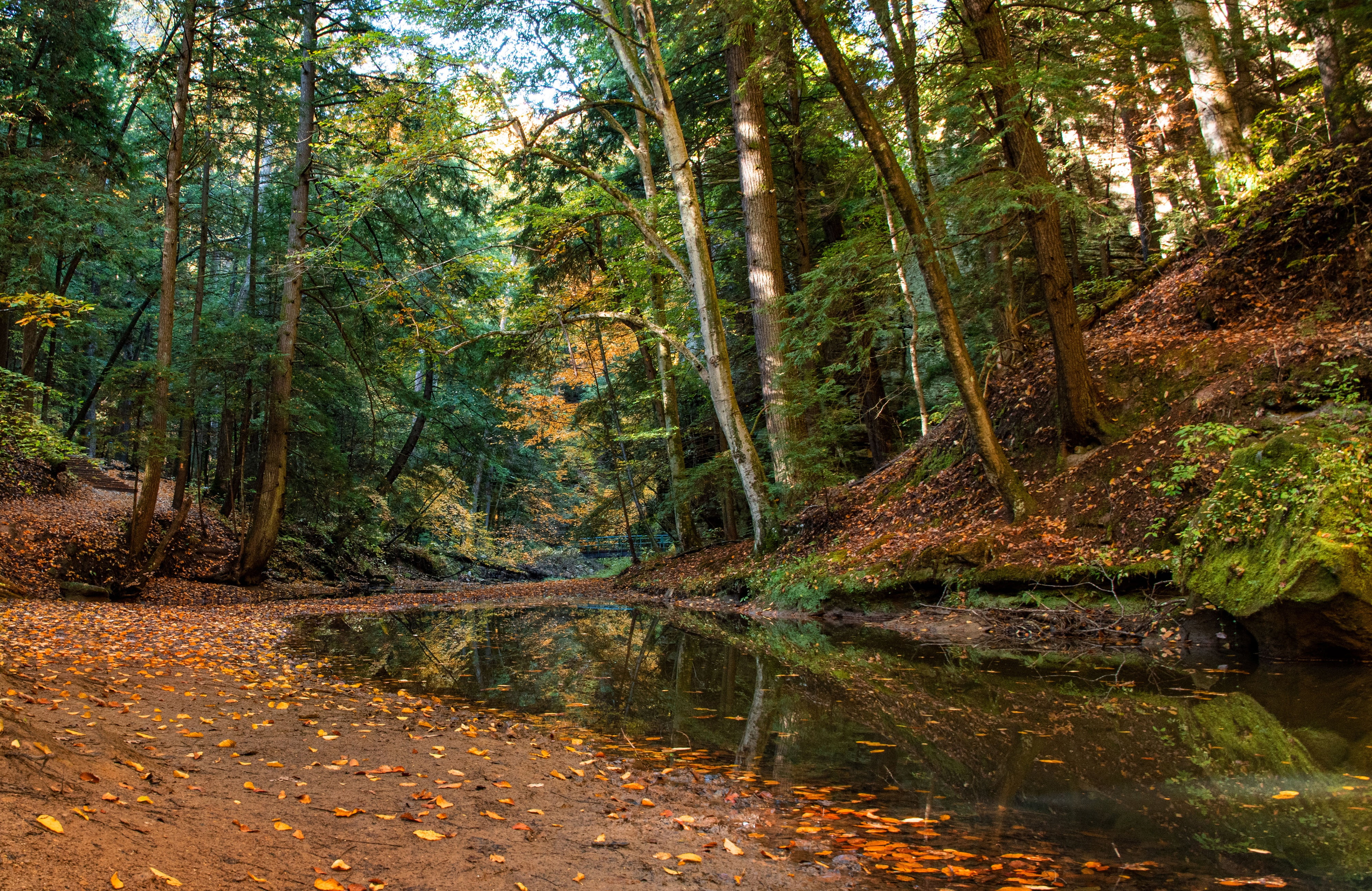 stream, Hocking Hills State Park, Ohio, 4K, autumn, trees, forest, HD Wallpaper