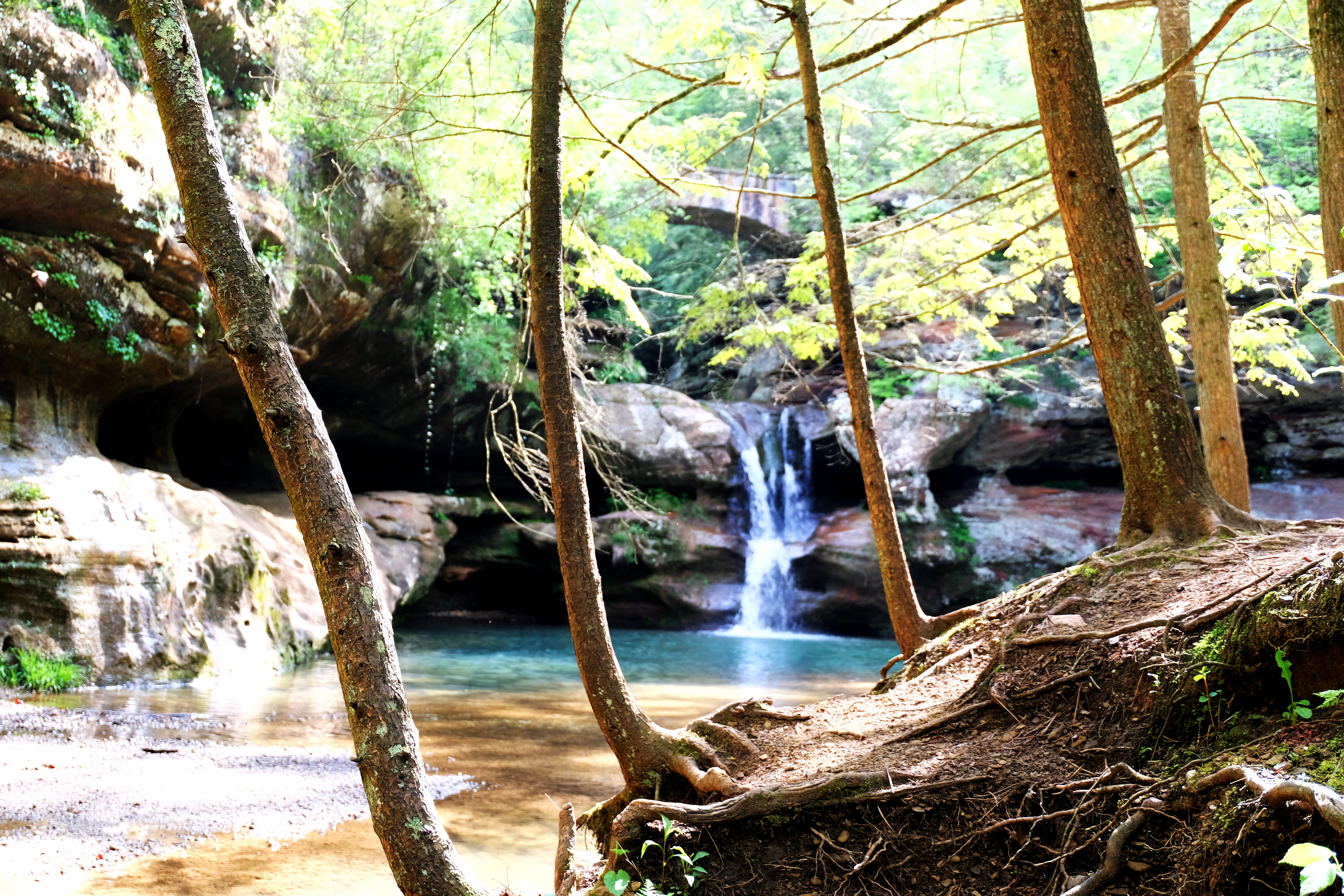 rainforest, plant, logan, united states, 5K, water, waterfall, tranquility, ohio, trees, land, flowing, outdoors, trunk, tree trunk, no people, motion, HD Wallpaper