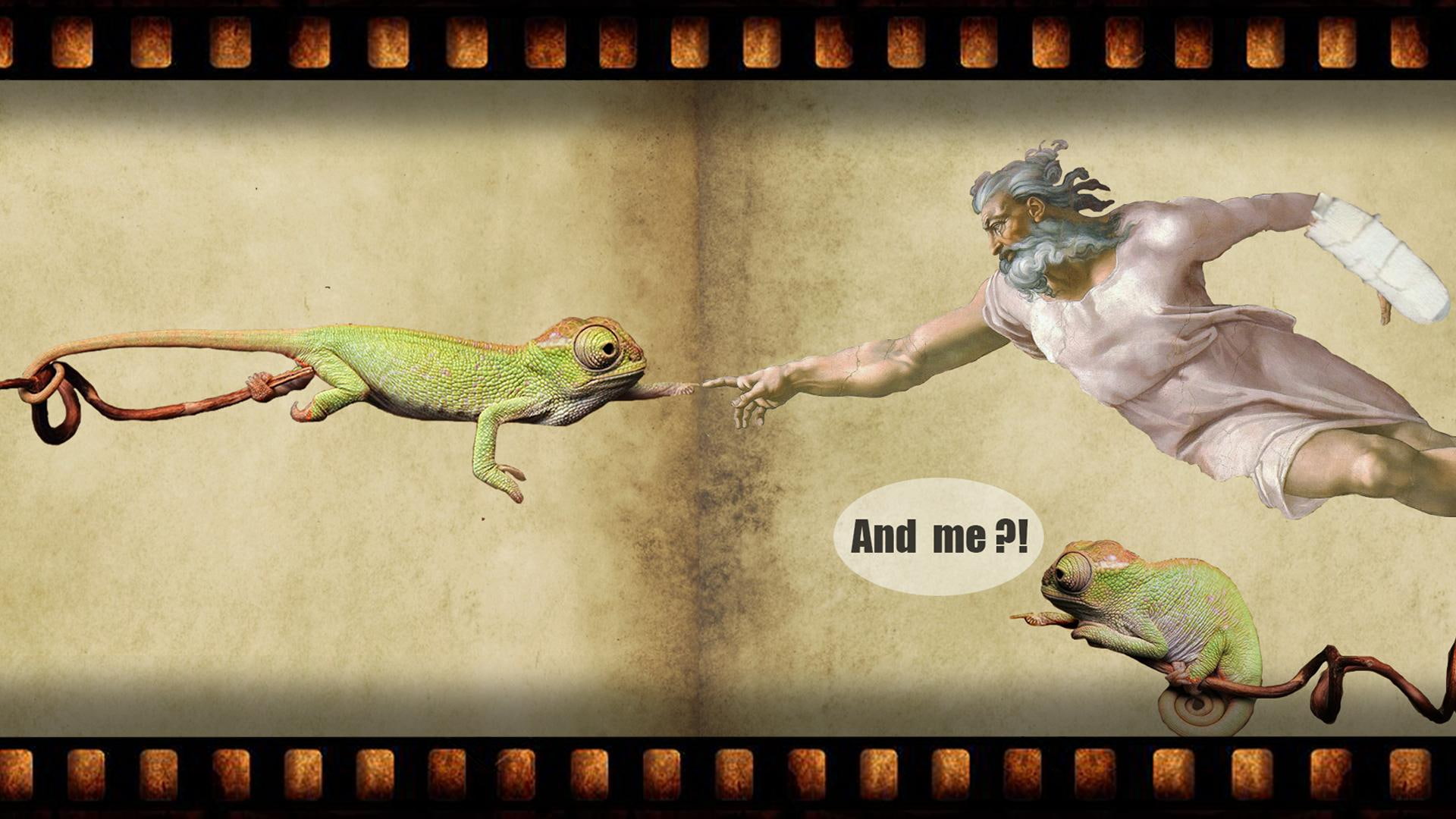 old man, lizard, old, quote, 1080P, painting, man, HD Wallpaper