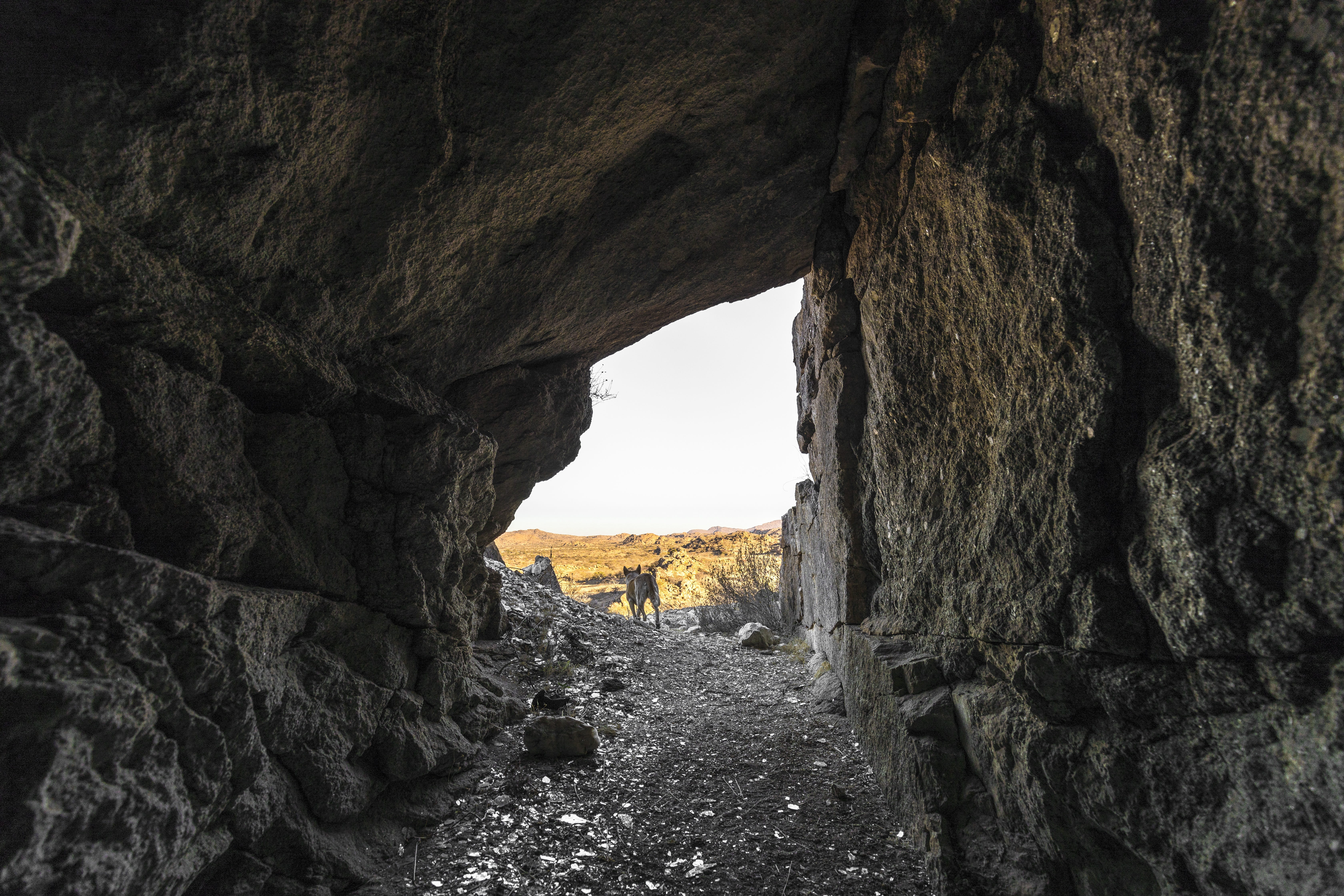 the way forward, tranquility, arch, physical geography, namibia, architecture, africa, rock - object, no people, built structure, tourism, marble, direction, HD Wallpaper