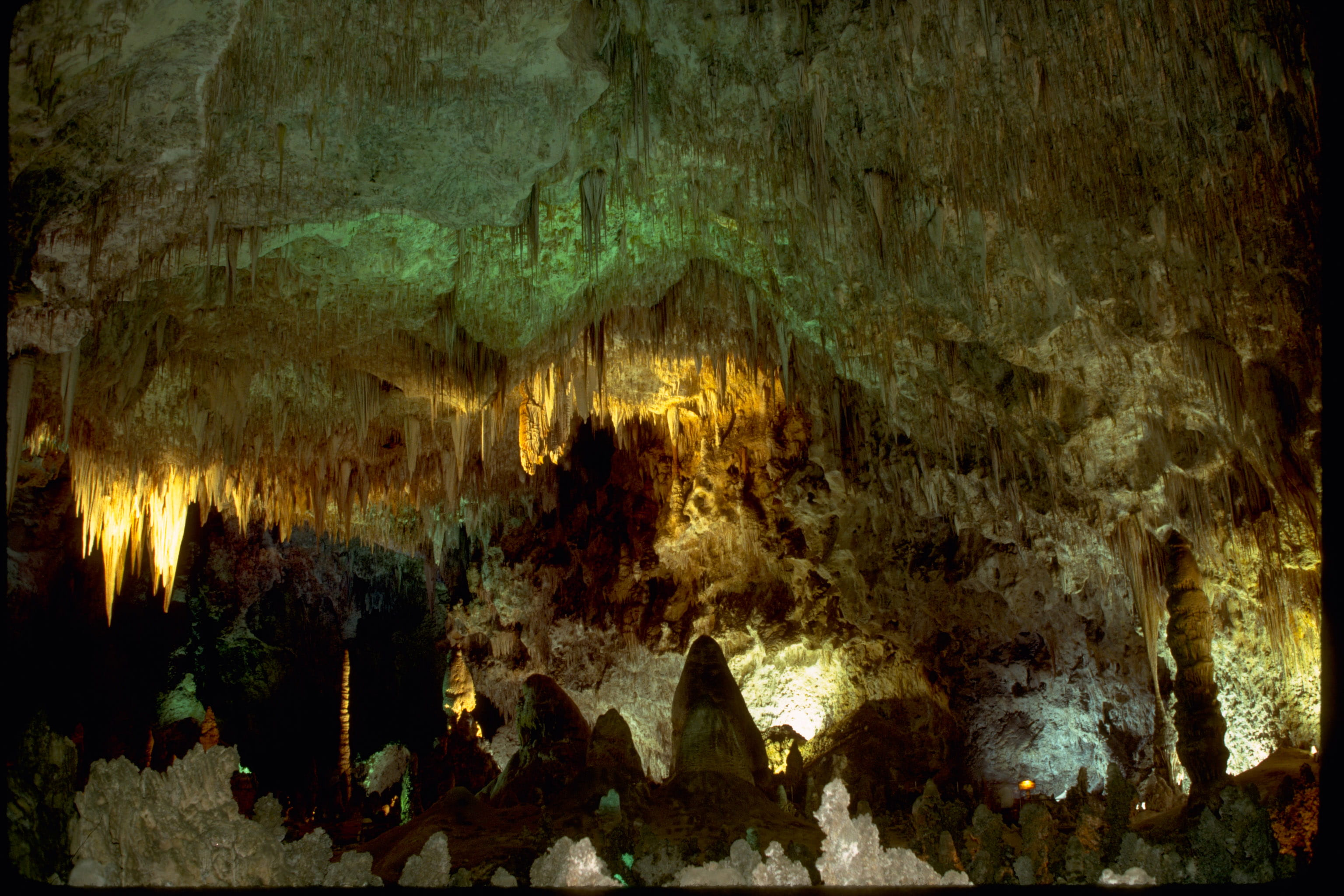 dark, pattern, beauty in nature, 2K, national, tree, photos, geology, public domain, new, park, physical geography, forest, Carlsbad Caverns National Park, HD Wallpaper