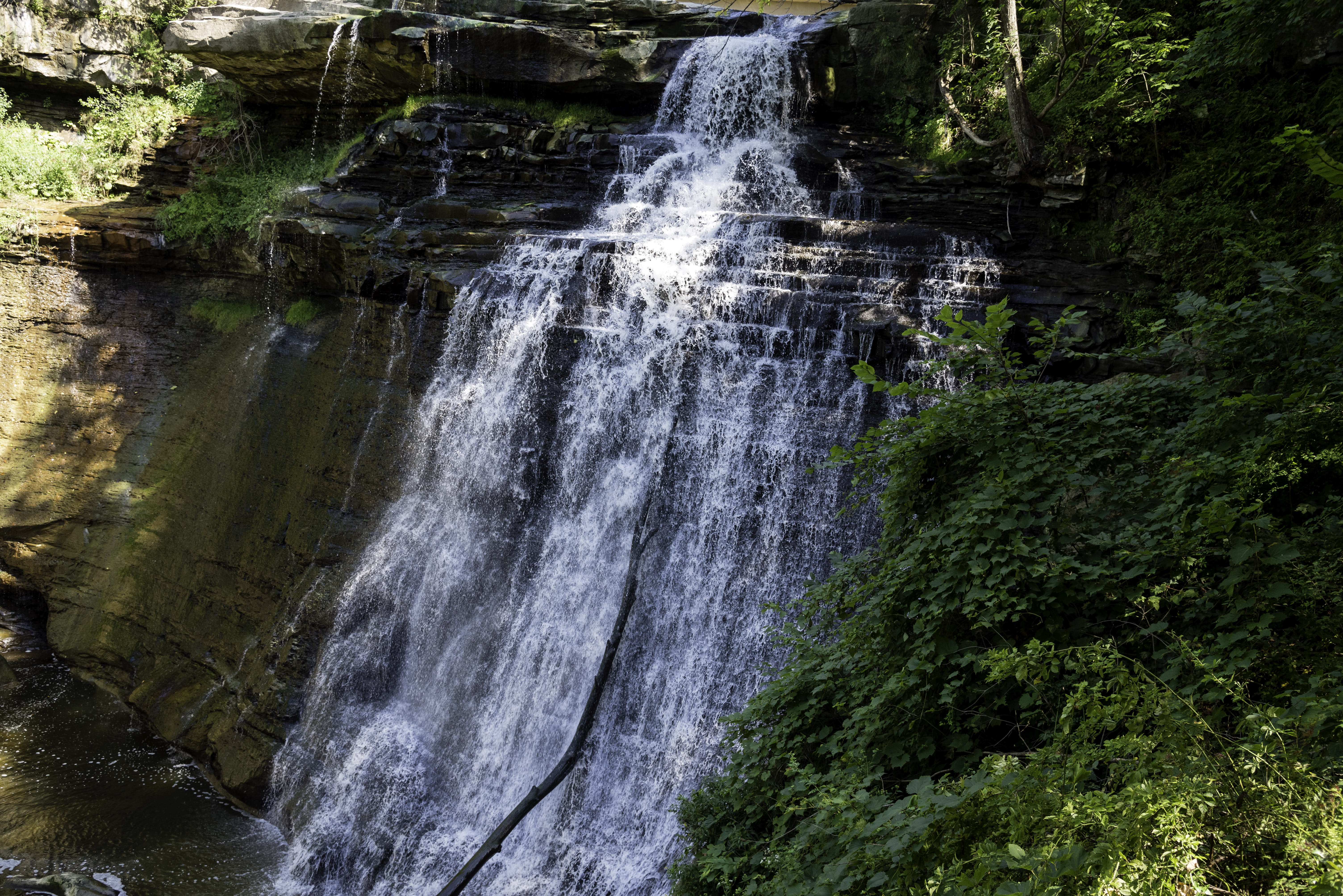 Brandywine Falls, public domain, stream, falling, flowing, falls, brandywine, blurred motion, river, green Color, photo, scenics - nature, Valley, plant, HD Wallpaper