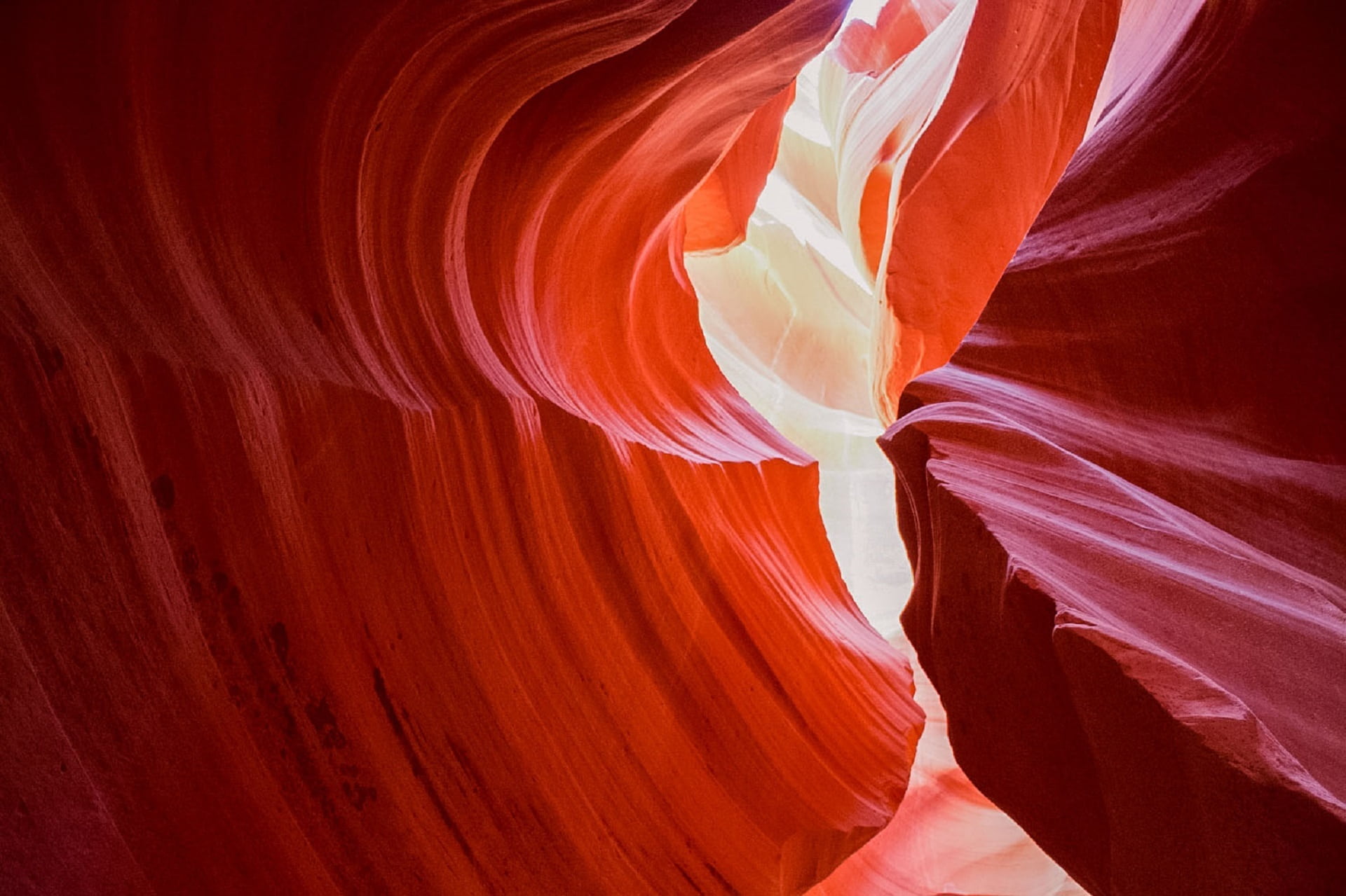 erosion, outdoors, flower head, arizona, antelope Canyon, flower, pollen, desert, slot Canyon, plant, orange color, rock - Object, canyon, freshness, abstract, HD Wallpaper