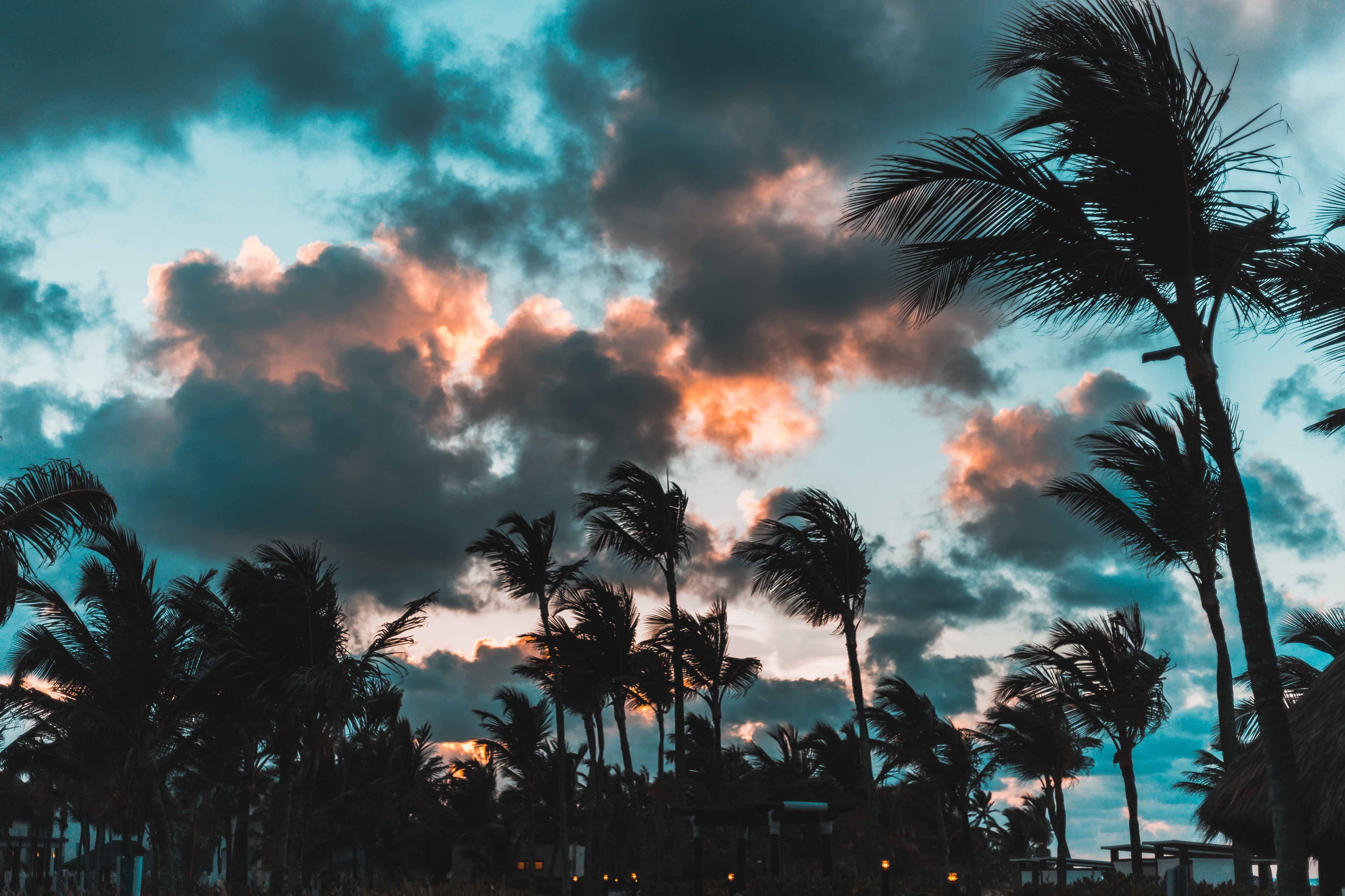 coconut, tranquil scene, tropical Climate, tourism, scenics, coastline, tranquility, dominican republic, clouds, dusk, summer, beauty In Nature, tropics, HD Wallpaper