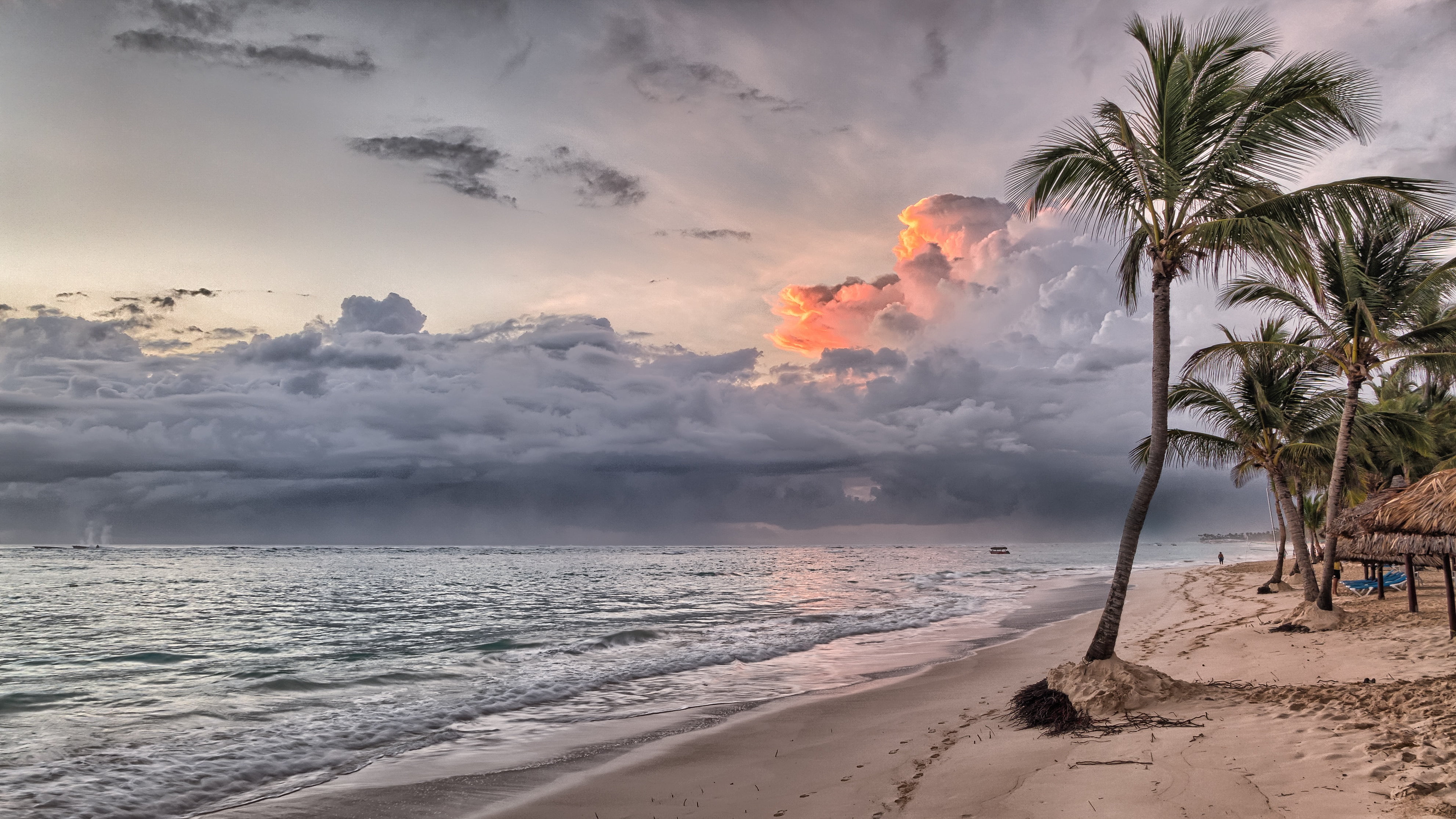 sunset, nature, palm, palm Tree, beauty In Nature, green, caribbean Sea, tropical tree, tourist Resort, palms, 4K, vacations, tropical Climate, coastline, HD Wallpaper