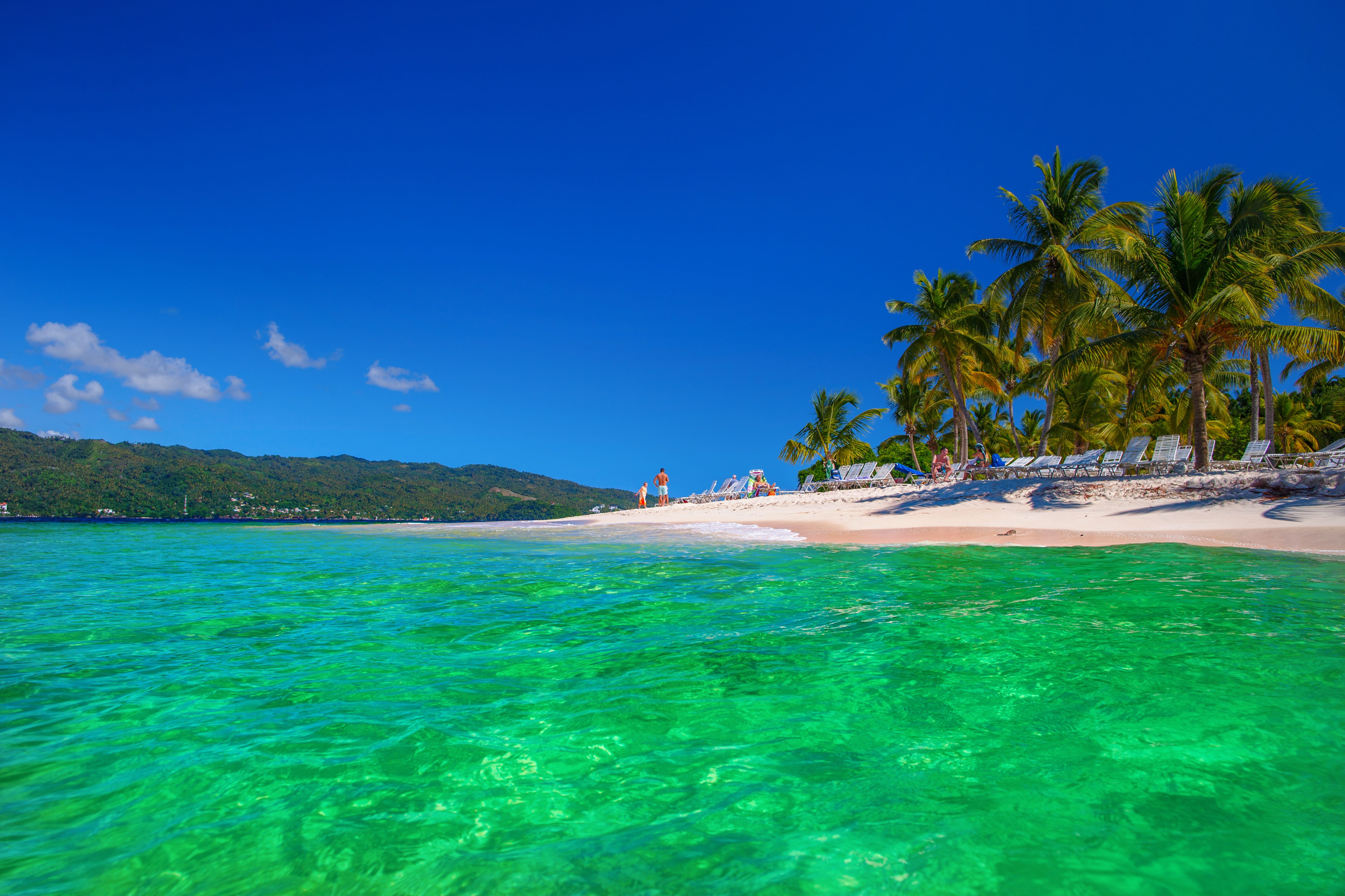 beach, travel, trip, tropics, trees, turquoise colored, tourism, bay, lagoon, tranquility, body, near, atlantic, palm trees, land, plant, beauty in nature, HD Wallpaper