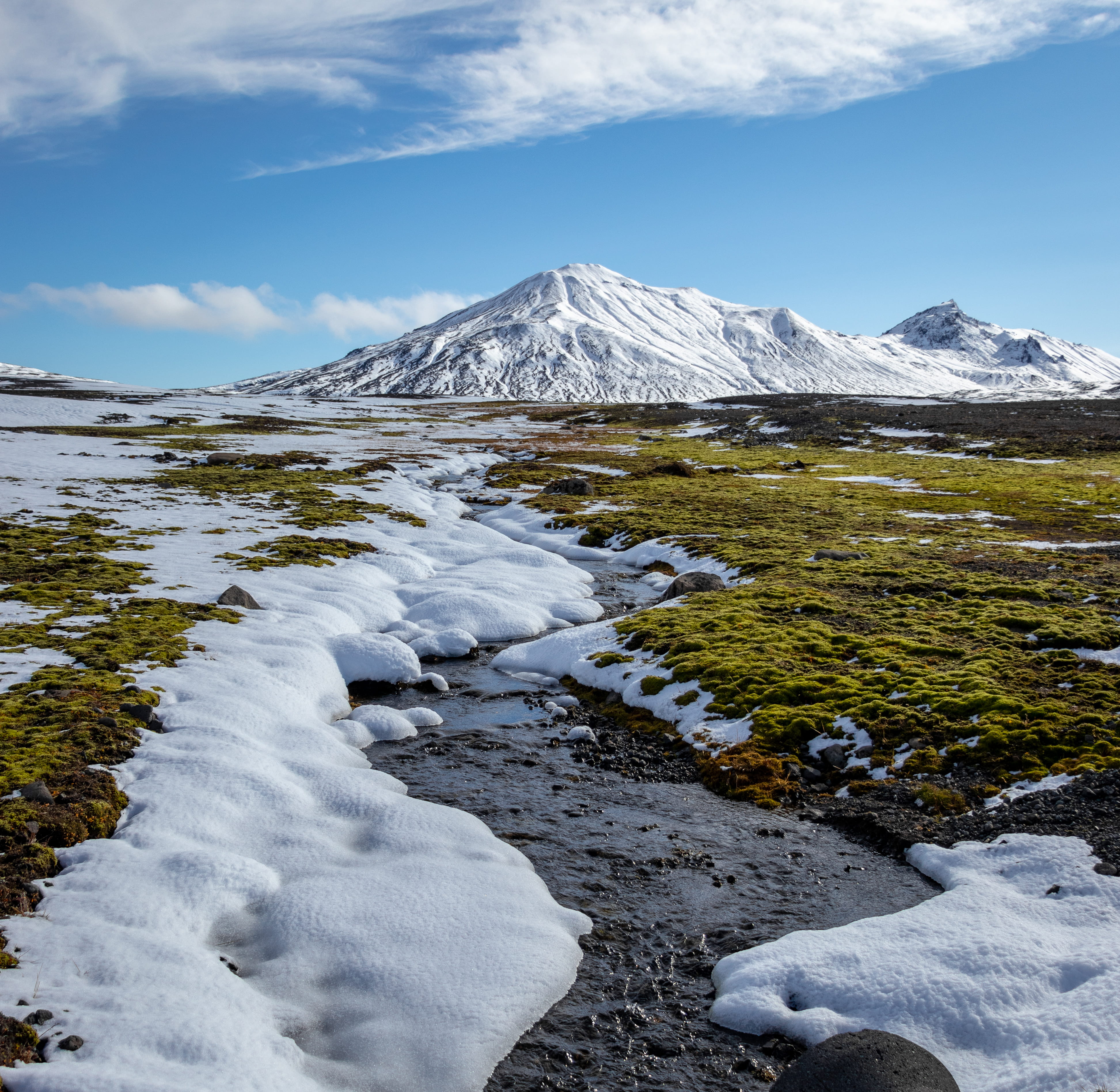 snowcapped mountain, vegetation, no people, moss, glacier, snow mountain, rainforest, cloudy, plateau, sky, cold temperature, winter, tree, environment, HD Wallpaper