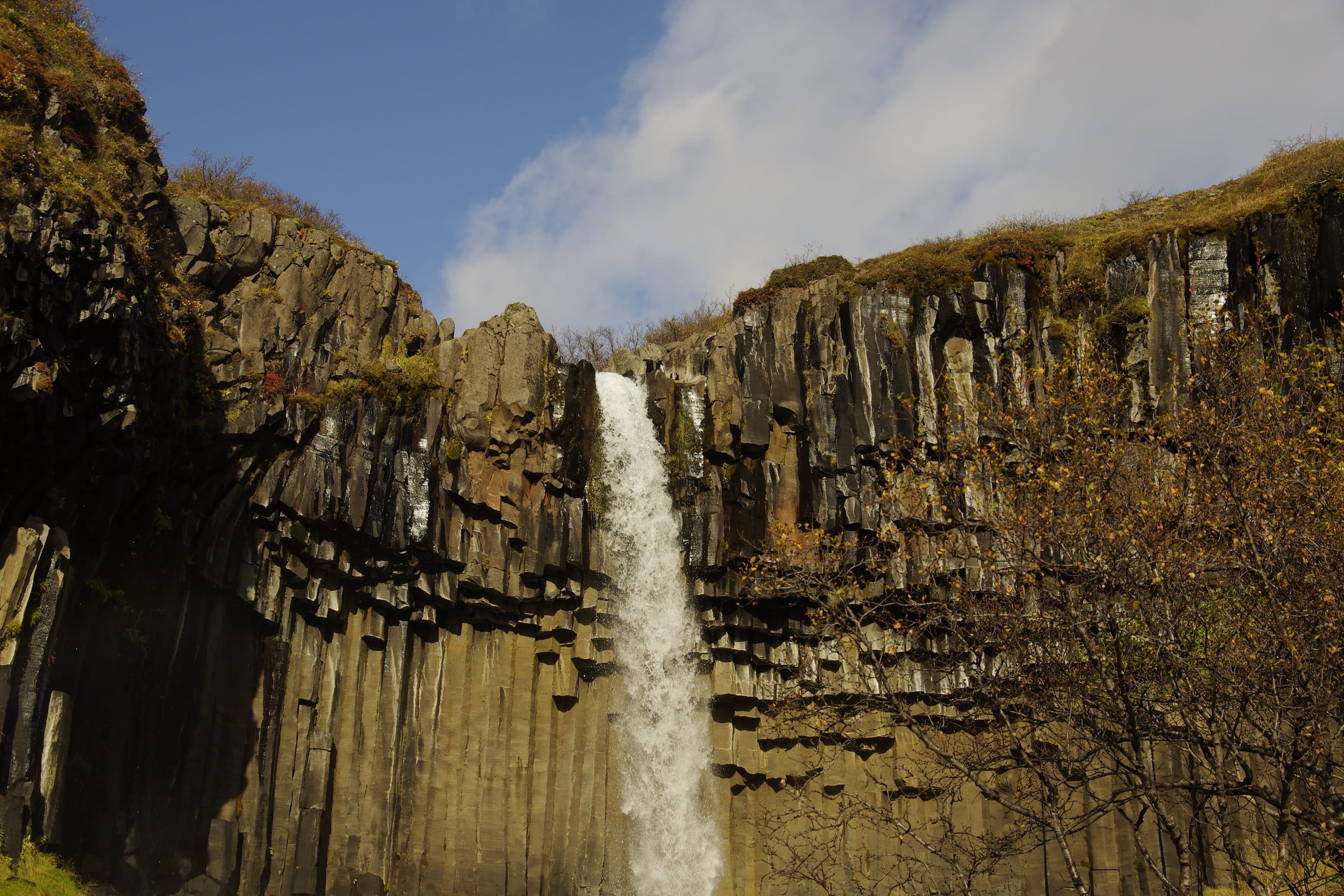 cliff, solid, vatnajökull national park, non-urban scene, physical geography, tranquility, eroded, nature, tranquil scene, mountain, rock - object, svartifoss, HD Wallpaper