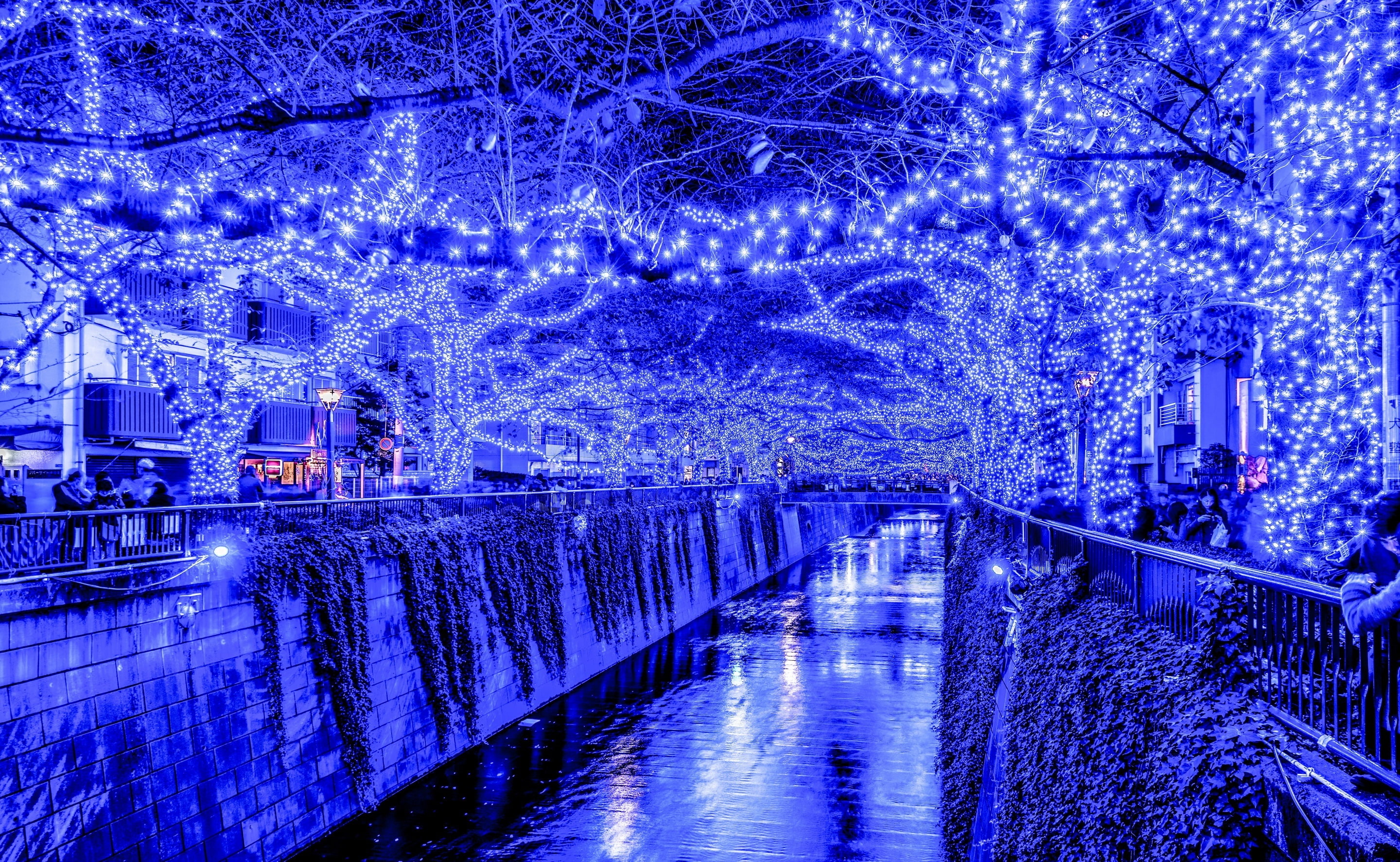 christmas lights, architecture, no people, plant, connection, Asia, tokyo, reflection, night, lights, purple, outdoors, christmas, built structure, canal, HD Wallpaper