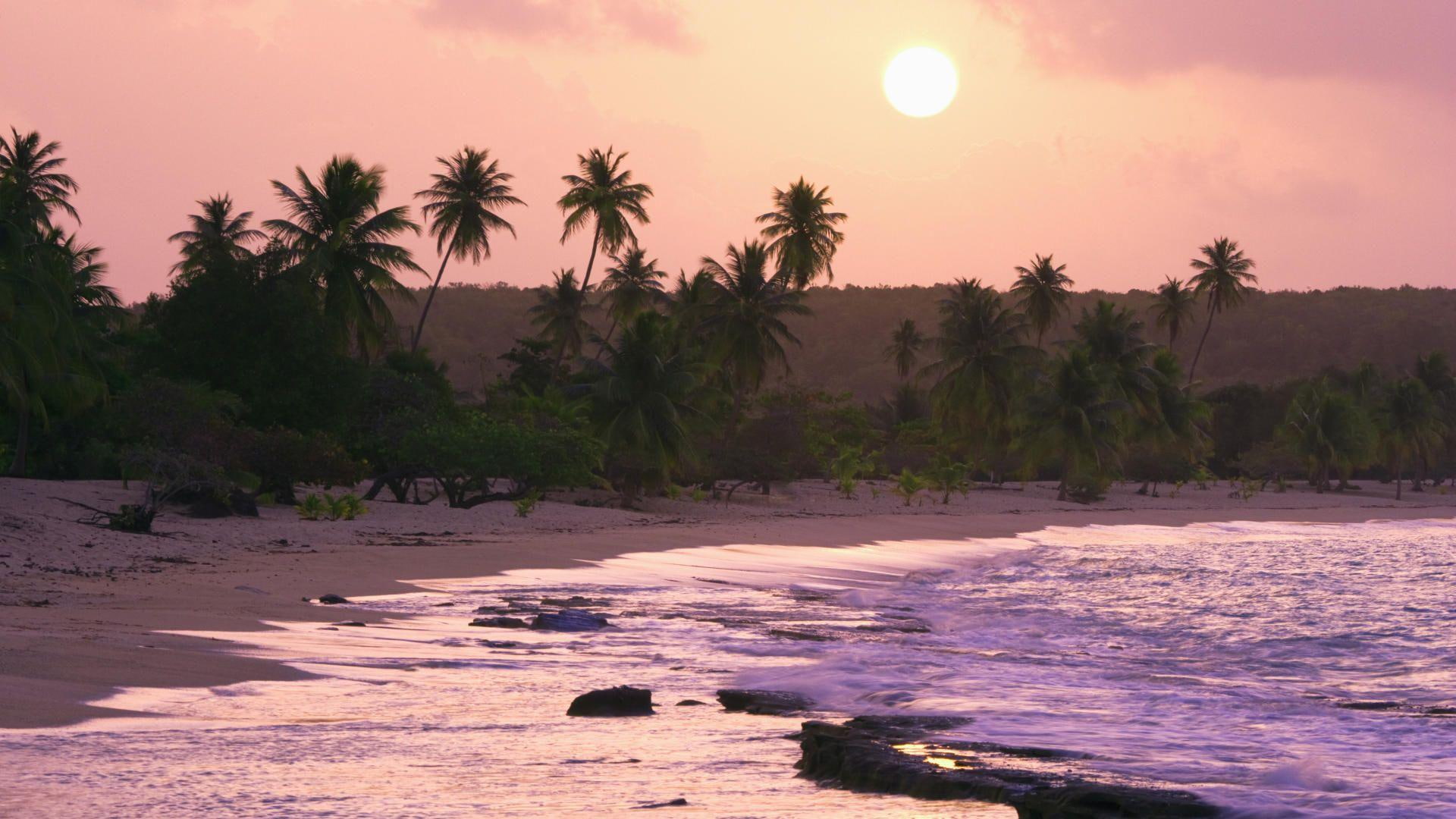 nature and landscapes, 1080P, palms, waves, puerto, beach, wonderful, rico, HD Wallpaper