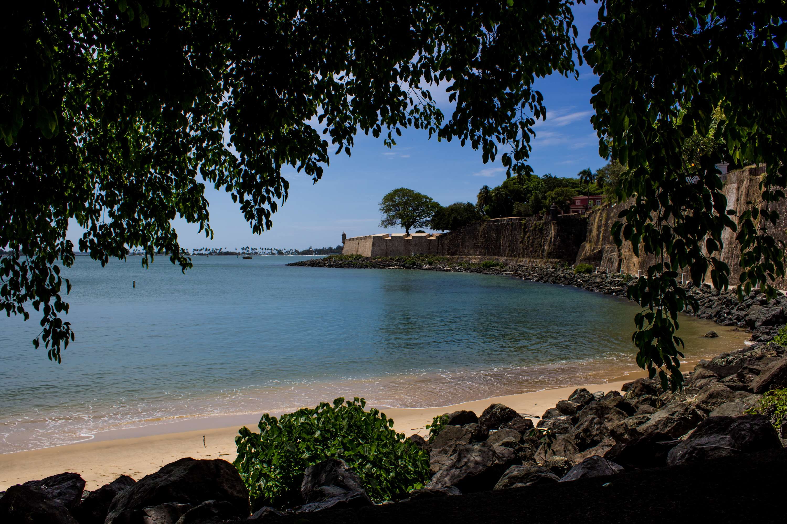 day, sea, san juan puerto rico, beach, beauty in nature, growth, sky, ocean view, tranquility, nature, rock, water, built structure, no people, tranquil scene, HD Wallpaper