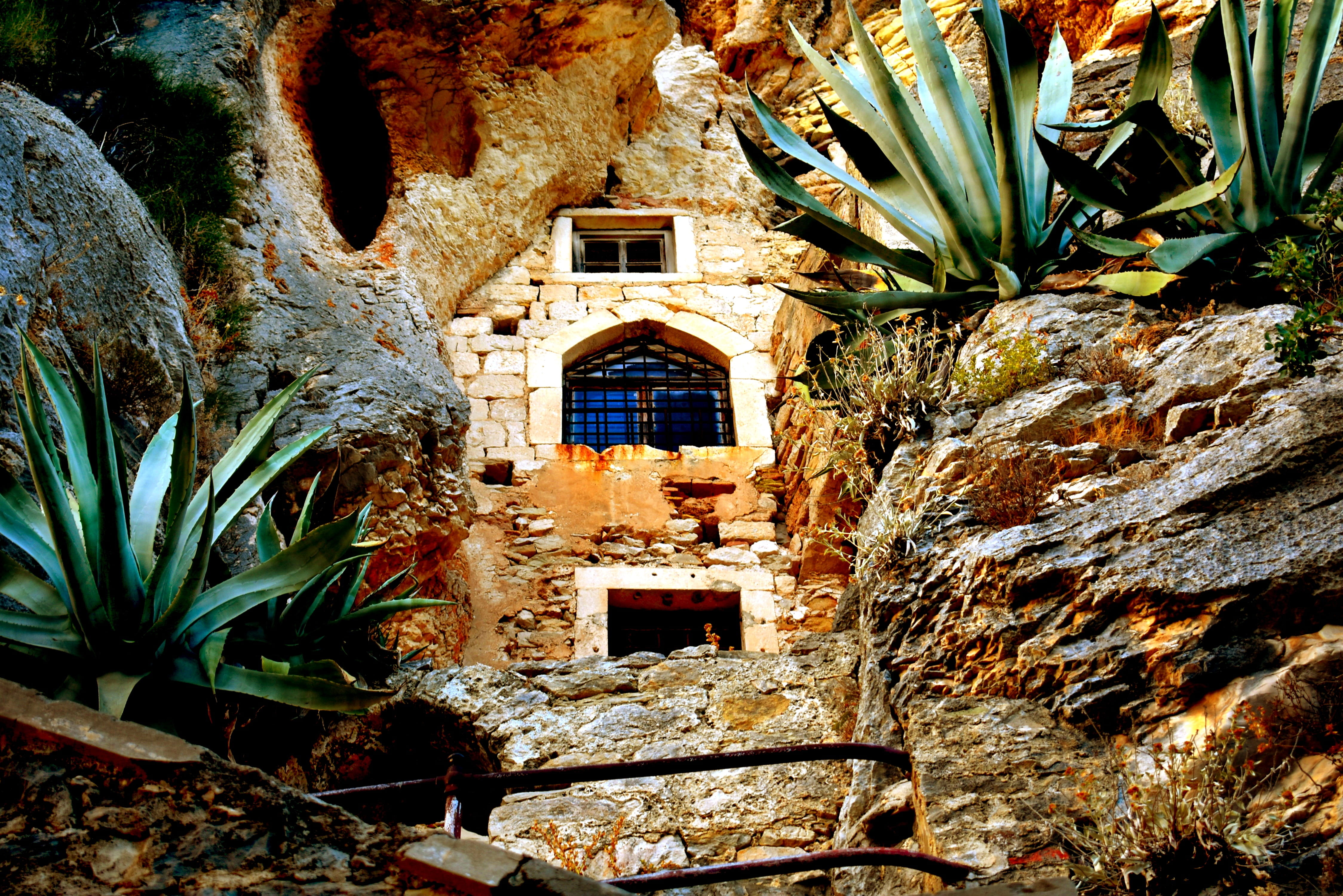 leaf, carved stone, house, plant, sunlight, monastery, church, residential district, low angle view, croatia, arhitecture, building exterior, jere, architecture, HD Wallpaper