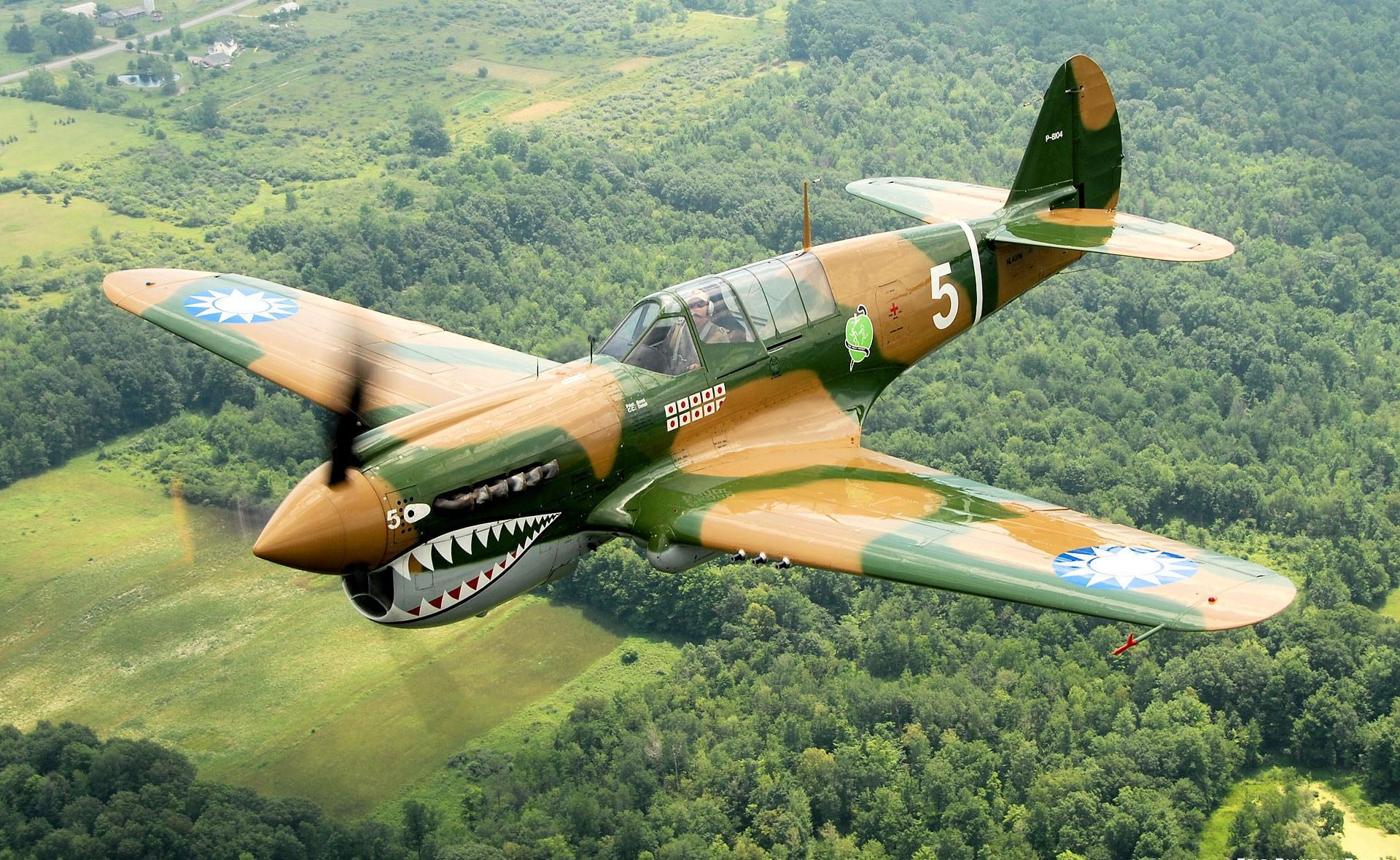 outdoors, on the move, mode of transportation, plant, flying, monoplane, adventure, P-40N Warhawk, real people, woodland, camouflage, day, over Geneseo, HD Wallpaper