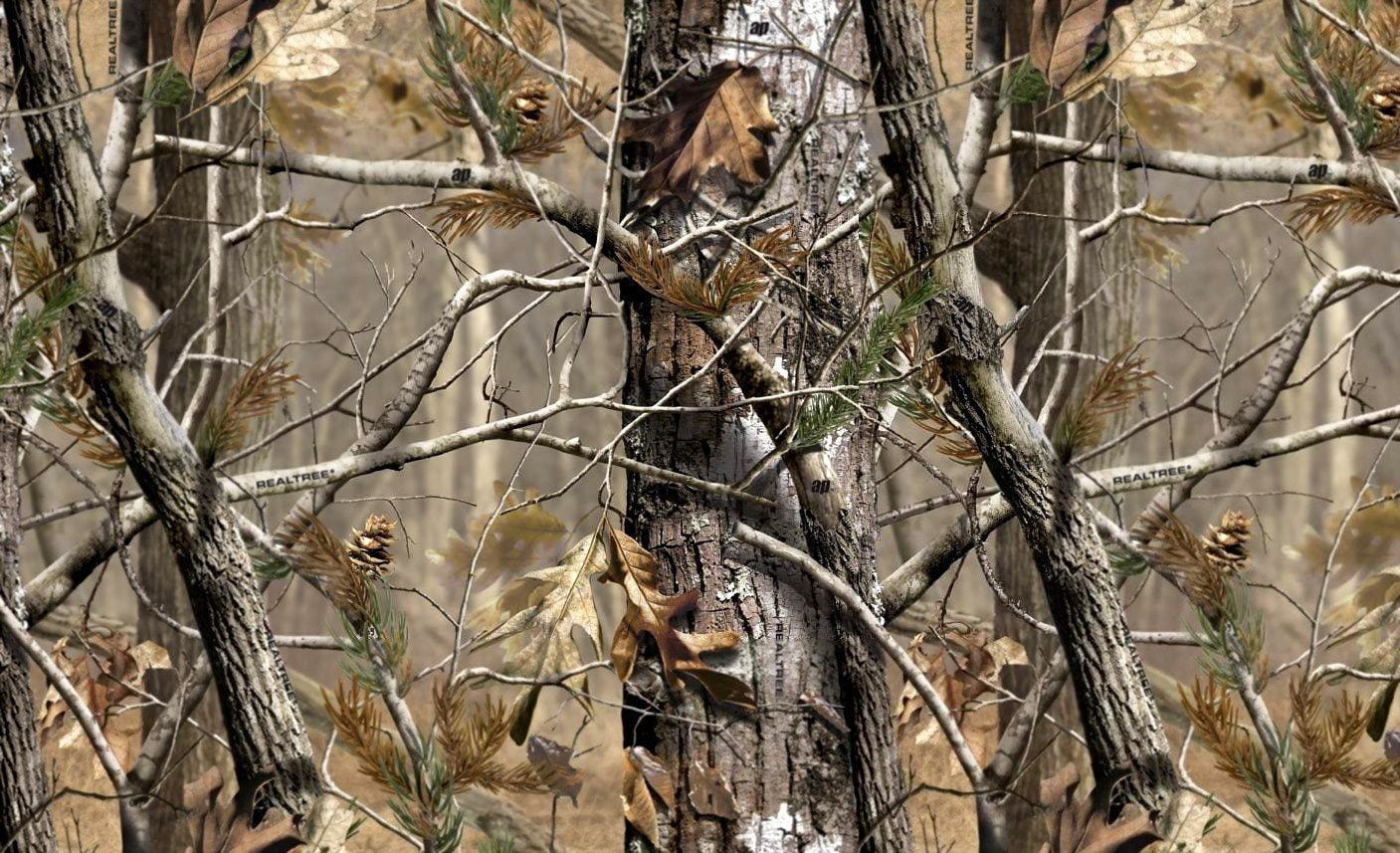 nature, branch, camouflage woodland camouflage, 720P, growth, animal, animal themes, forest, outdoors, day, plant, vertebrate, land, animals in the wild, HD Wallpaper