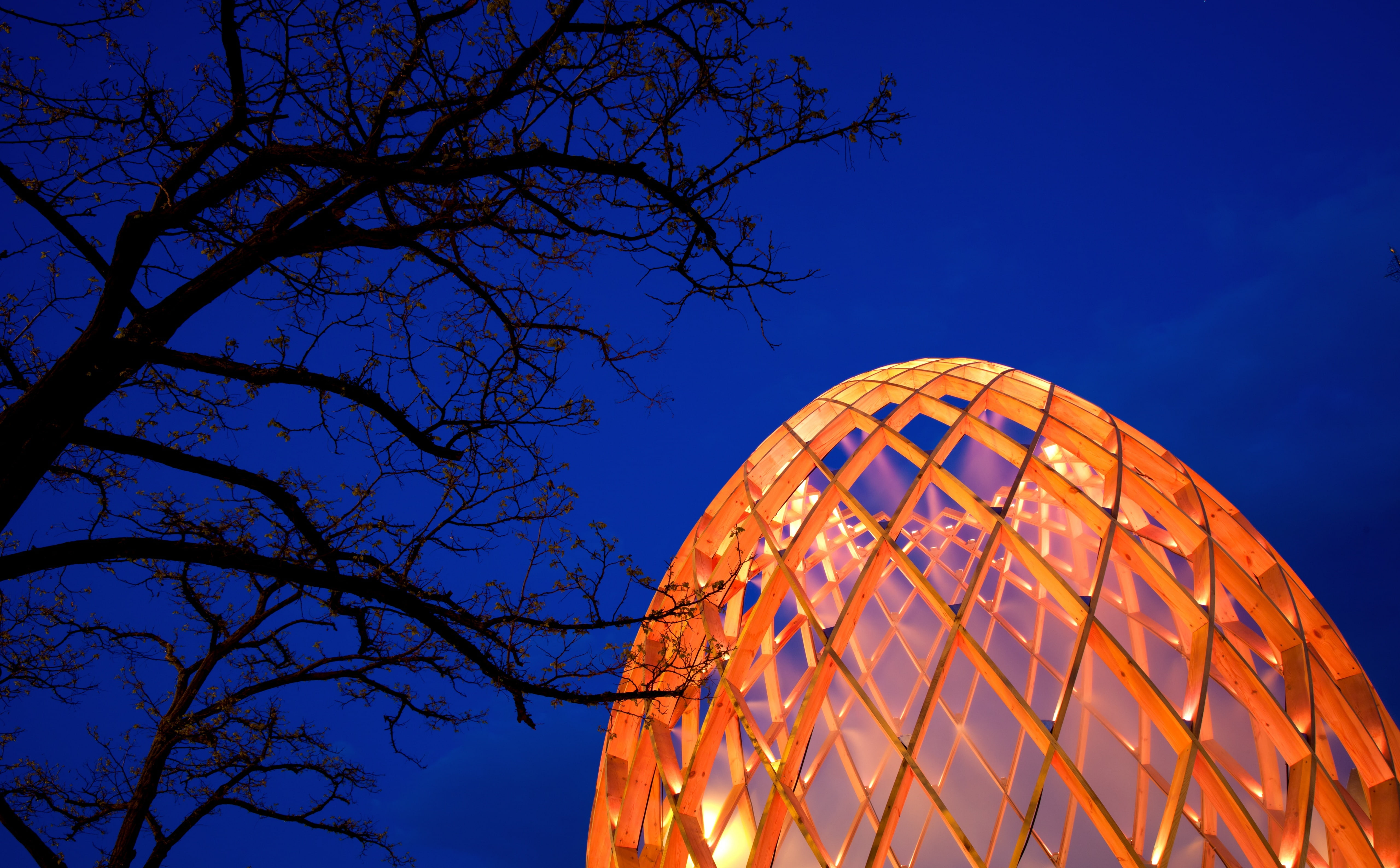 ovo, Architecture, nature, outdoors, tree, low angle view, built structure, dome, illuminated, lit, no people, bare tree, beside, pattern, branch, clear sky, HD Wallpaper