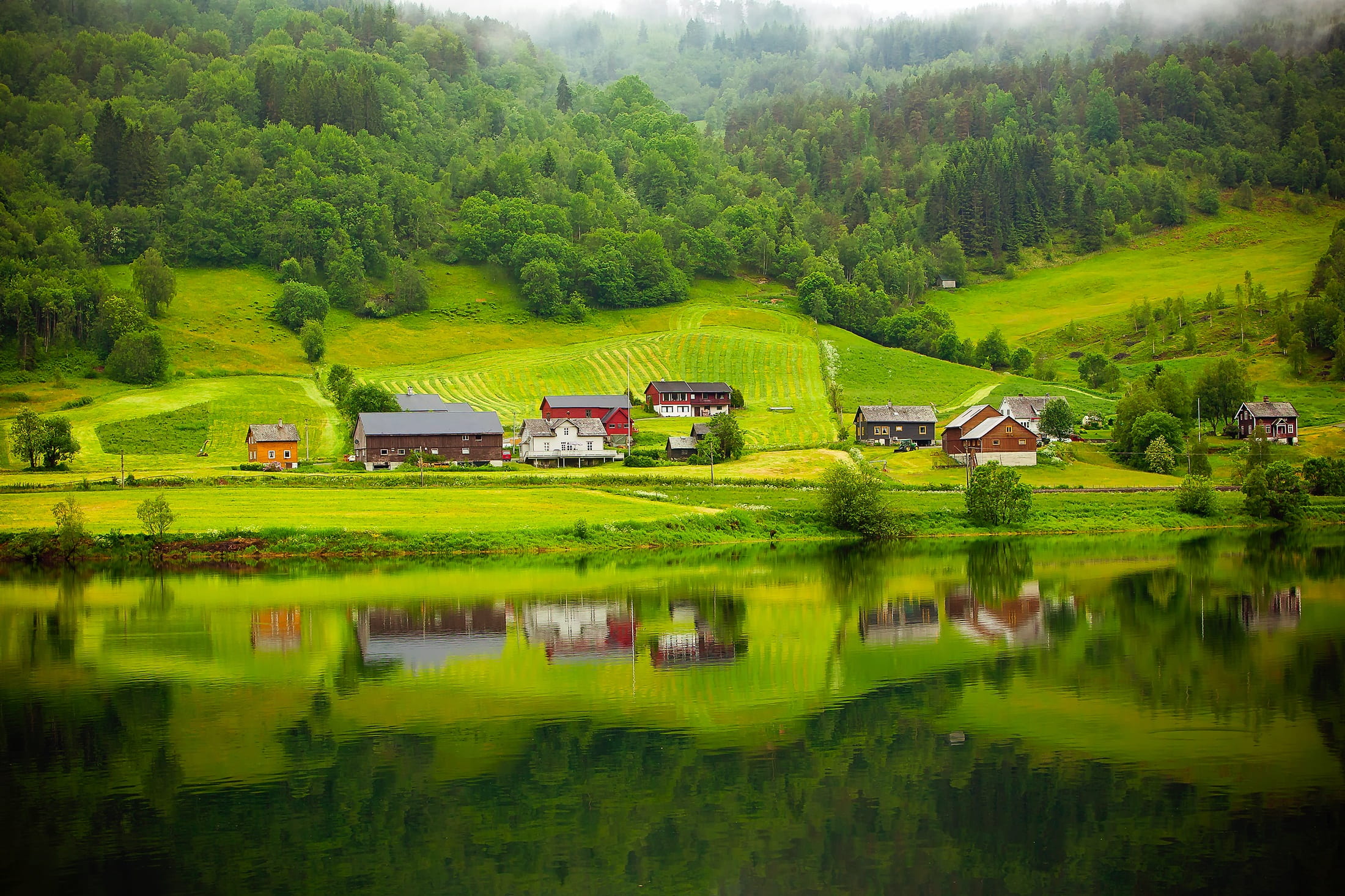 trees, tranquil scene, dawn, forest, woods, norway, fjord, growth, water, rural scene, tranquility, landscape, beautiful, 1080P, summer, built structure, HD Wallpaper