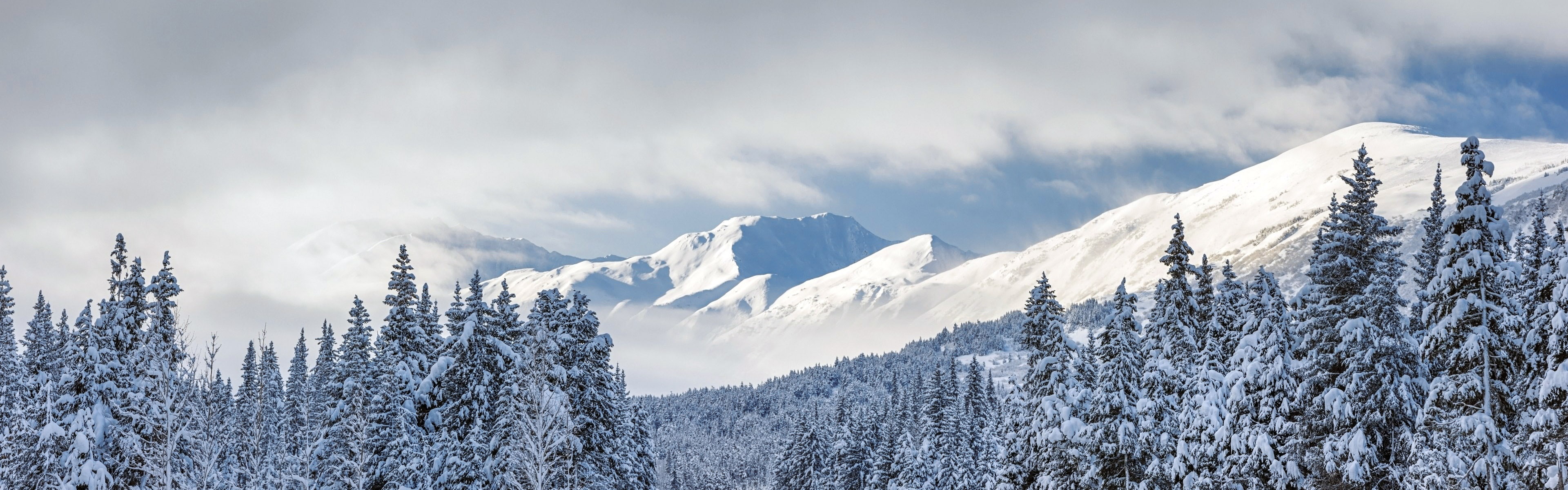 Chugach, National, Trees, Mountains, Snow, USA, Thick, Forest, Kenai, 4K, Alaska, HD Wallpaper