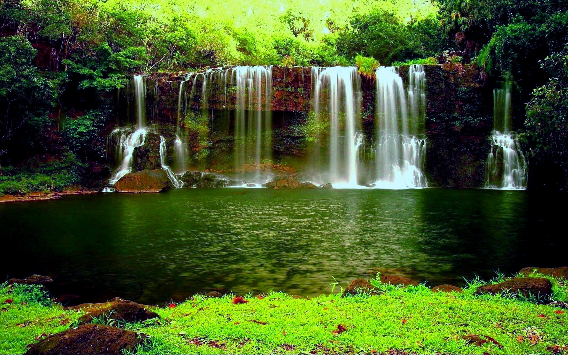 pond, desktop, thick, hd, weed, green, waterfall, 1080P, river, forest, HD Wallpaper