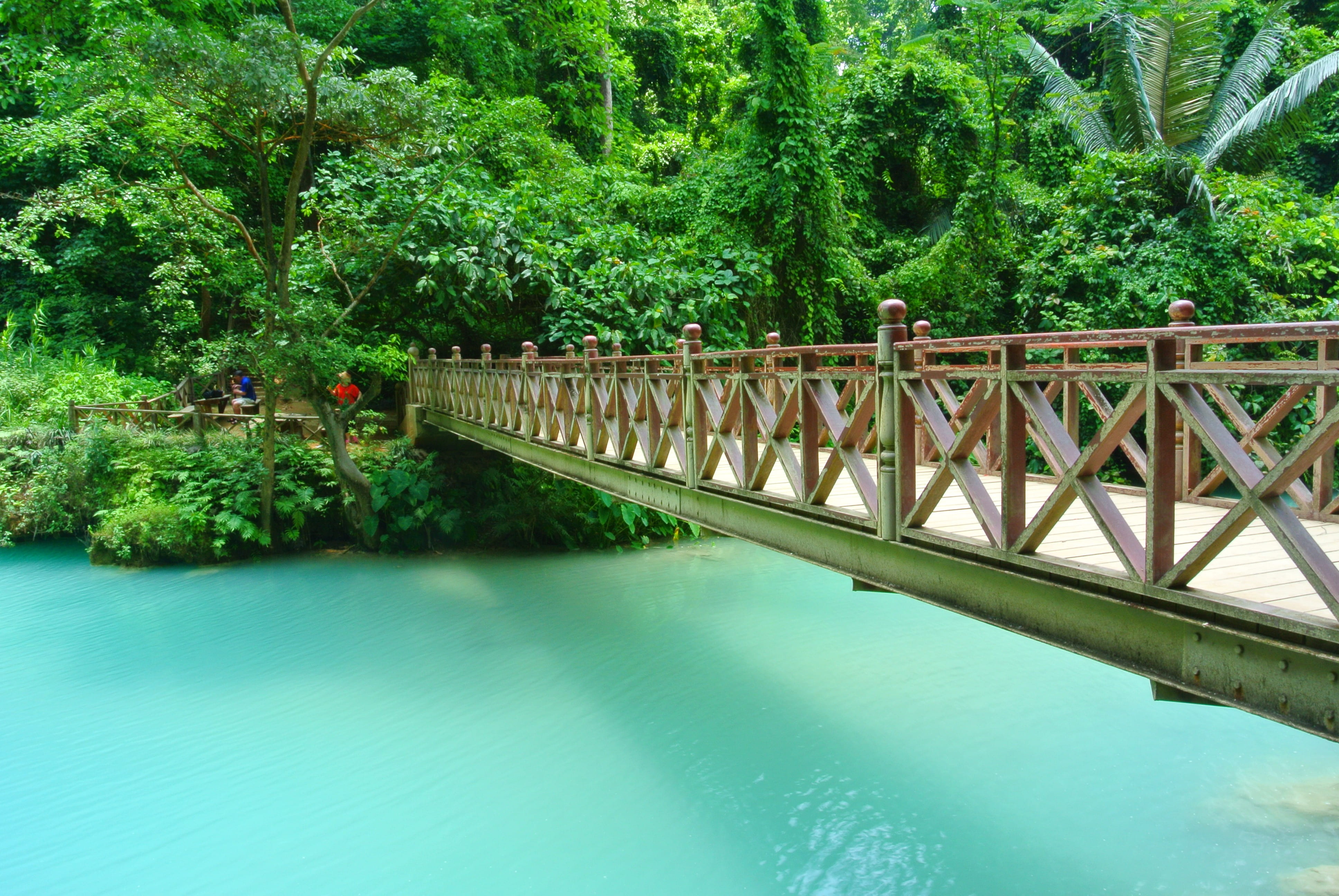 swimming pool, walkway, fresh, river, plants, bright, beauty in nature, green color, bridge, peaceful, summer, leaves, holidays, built structure, engineering, HD Wallpaper