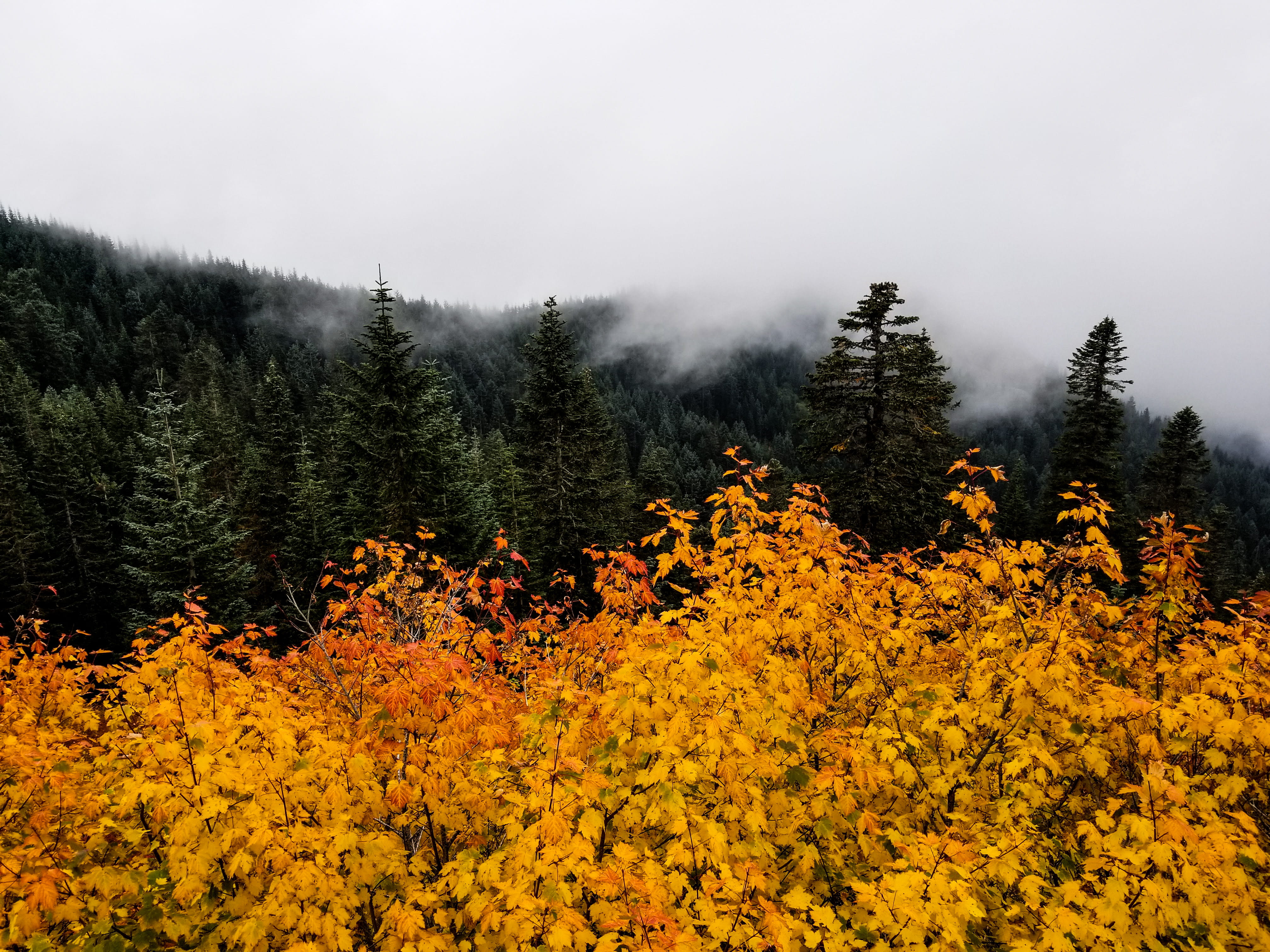 backgrounds, blue, mountain, 4K, sky, dark, seaclouds, bright, autumn, orange, nature, season, mist, fog, travel, outdoors, beauty In Nature, cloud - Sky, HD Wallpaper
