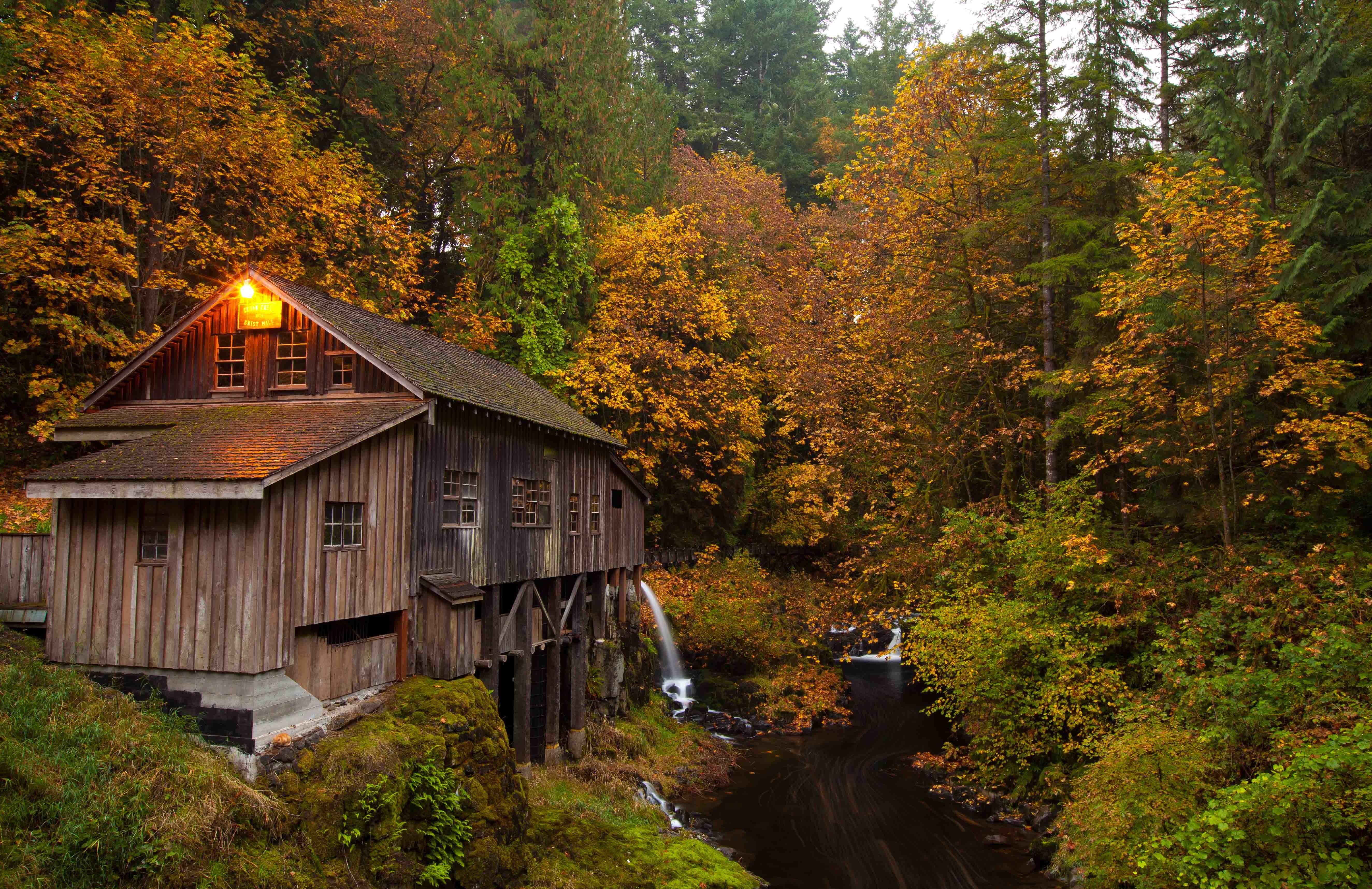 autumn collection, trees, plant, nature, wooden, architecture, no people, growth, brown, land, house, creeks, water, fall, orange color, 5K, tree, building exterior, HD Wallpaper