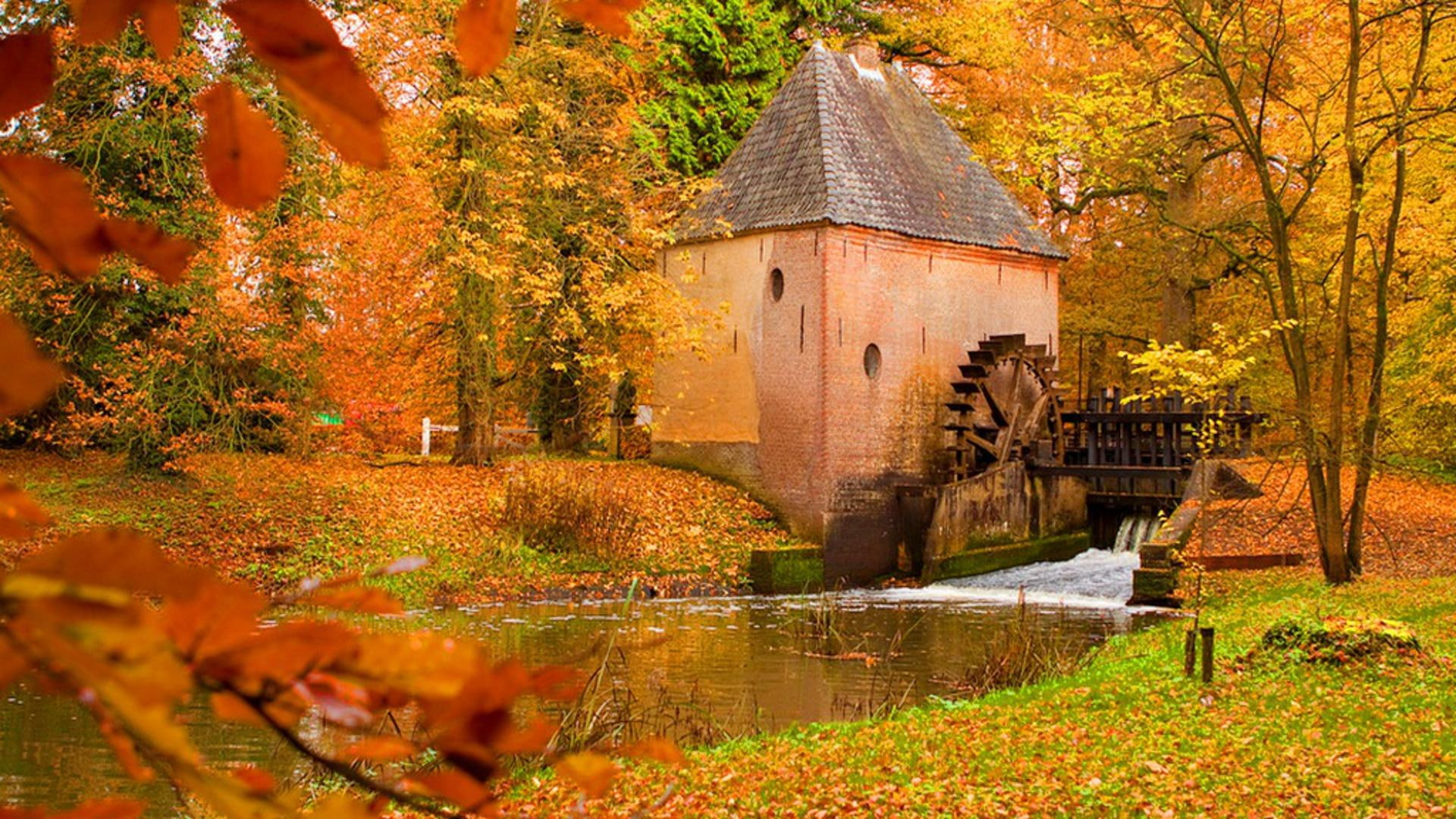 leaves, water, watermill, forest, 3d and abstract, autumn, color, 1080P, HD Wallpaper