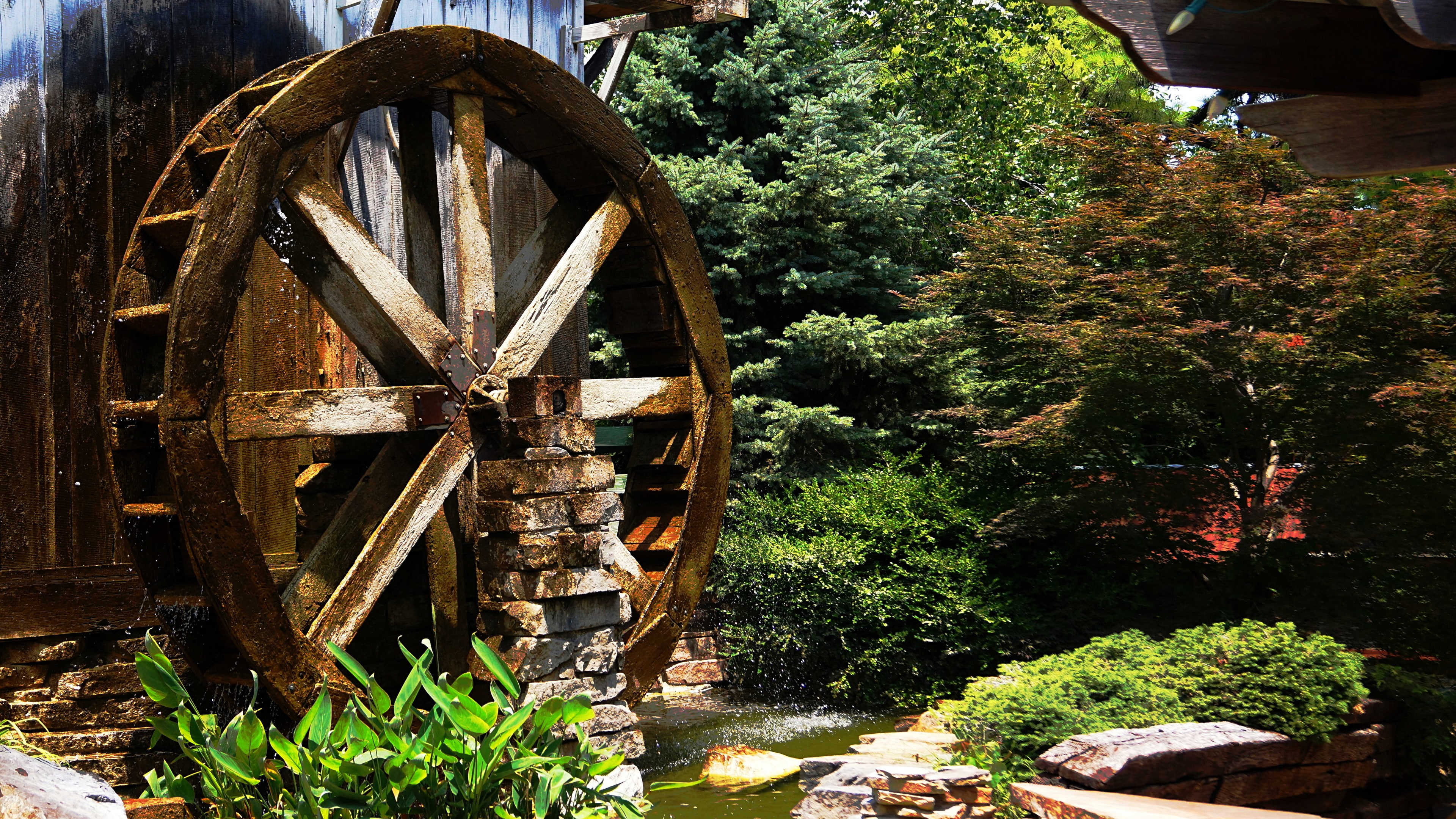 retro styled, transportation, landscape, outdoors, green color, mill, water drops, wood - material, 4K, wagon wheel, no people, water wheel, plant, fuel and power generation, HD Wallpaper