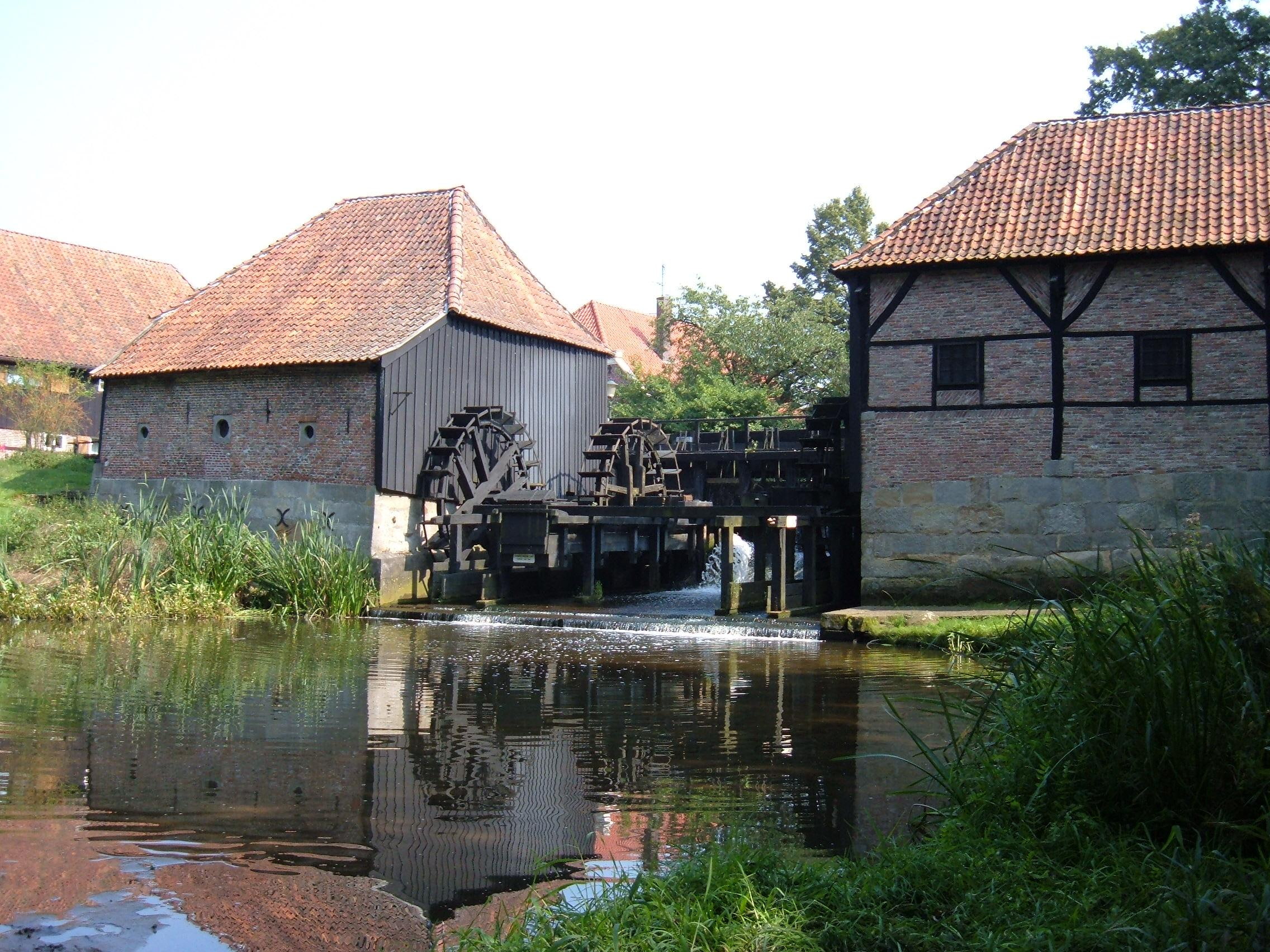 grass, watermill, 1080P, haaksbergen, holl, reflection, buildings, wheel, water, animals, HD Wallpaper