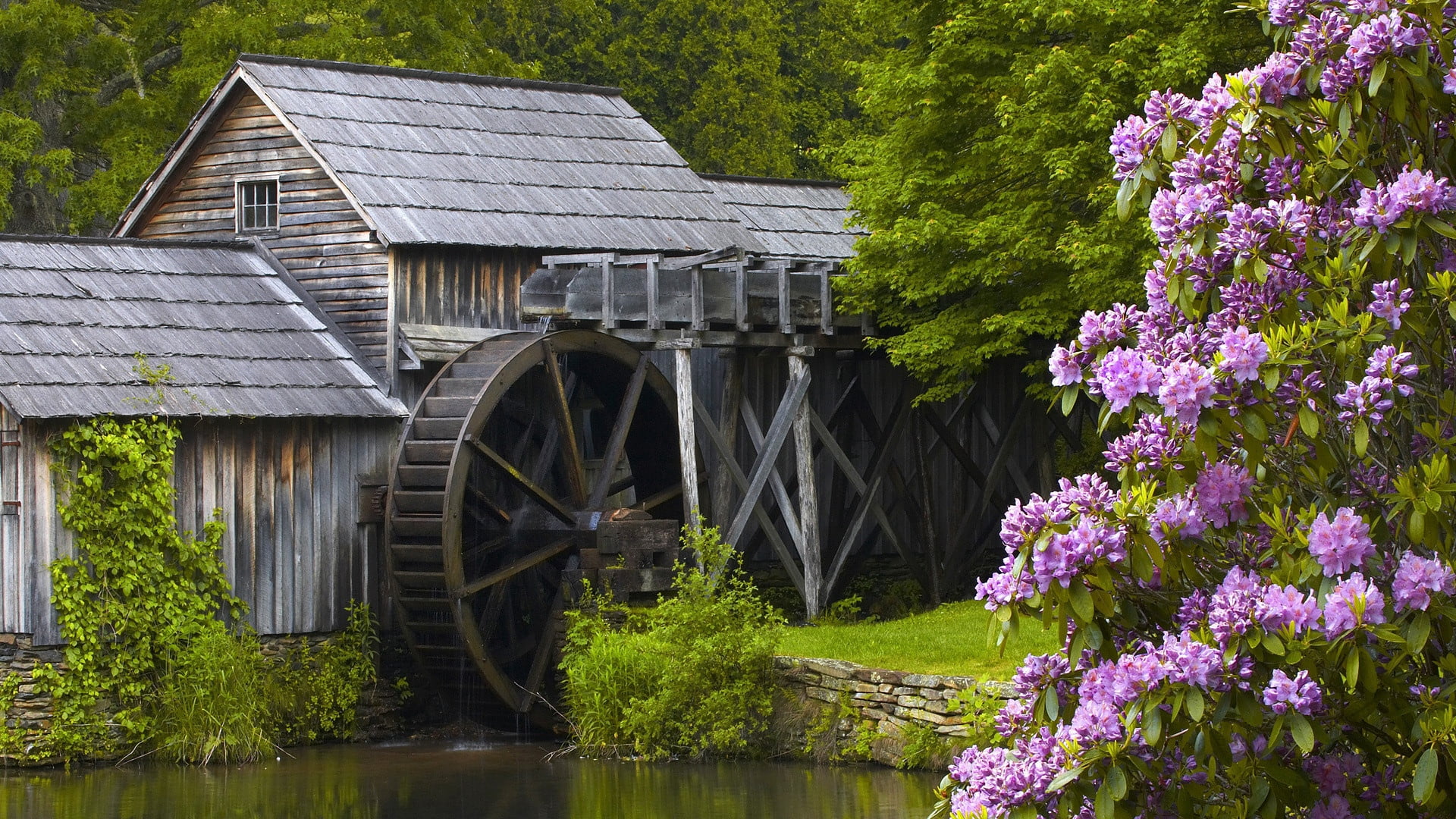 wooden, beauty In Nature, wood - Material, plant, cultures, springtime, autumn, gray, lake, wind, rustic, old-fashioned, history, sea, flower, flowering plant, HD Wallpaper