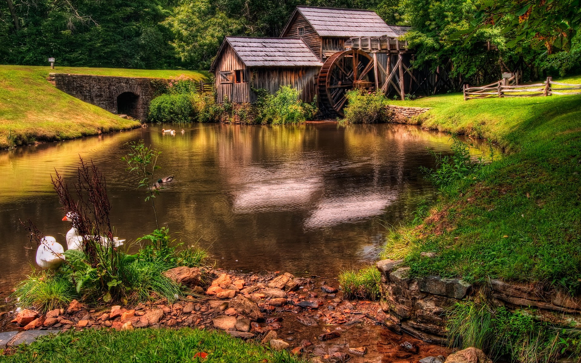 reflection, tranquility, outdoors, architecture, scenery, built structure, Nature, brown, watermill, grass, growth, no people, day, house, 1080P, tree, HD Wallpaper