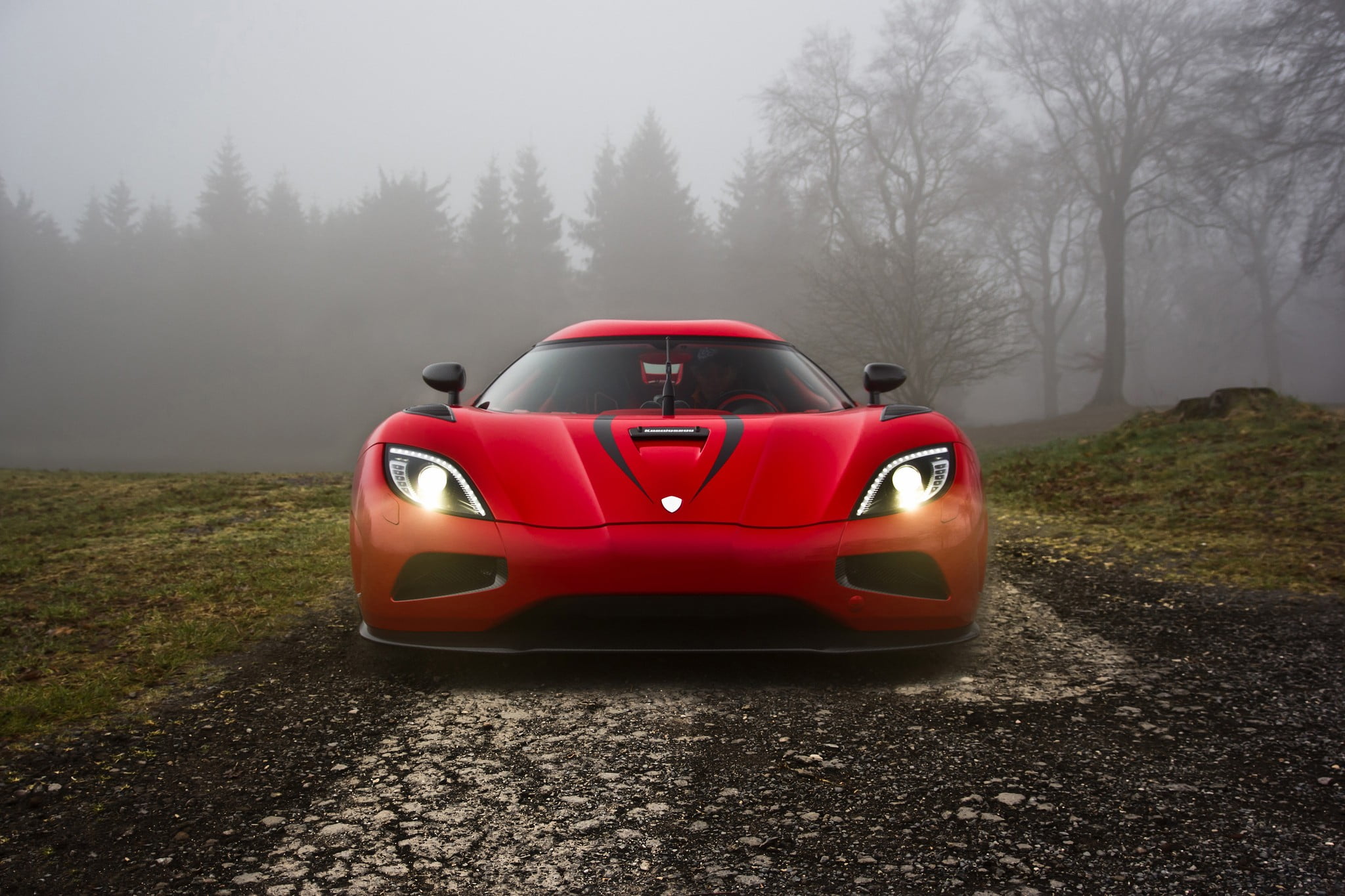 travel, outdoors, plant, tree, Koenigsegg Agera, nature, motor vehicle, real people, isolated color, red, field, forest, Europe, road, land vehicle, day, HD Wallpaper