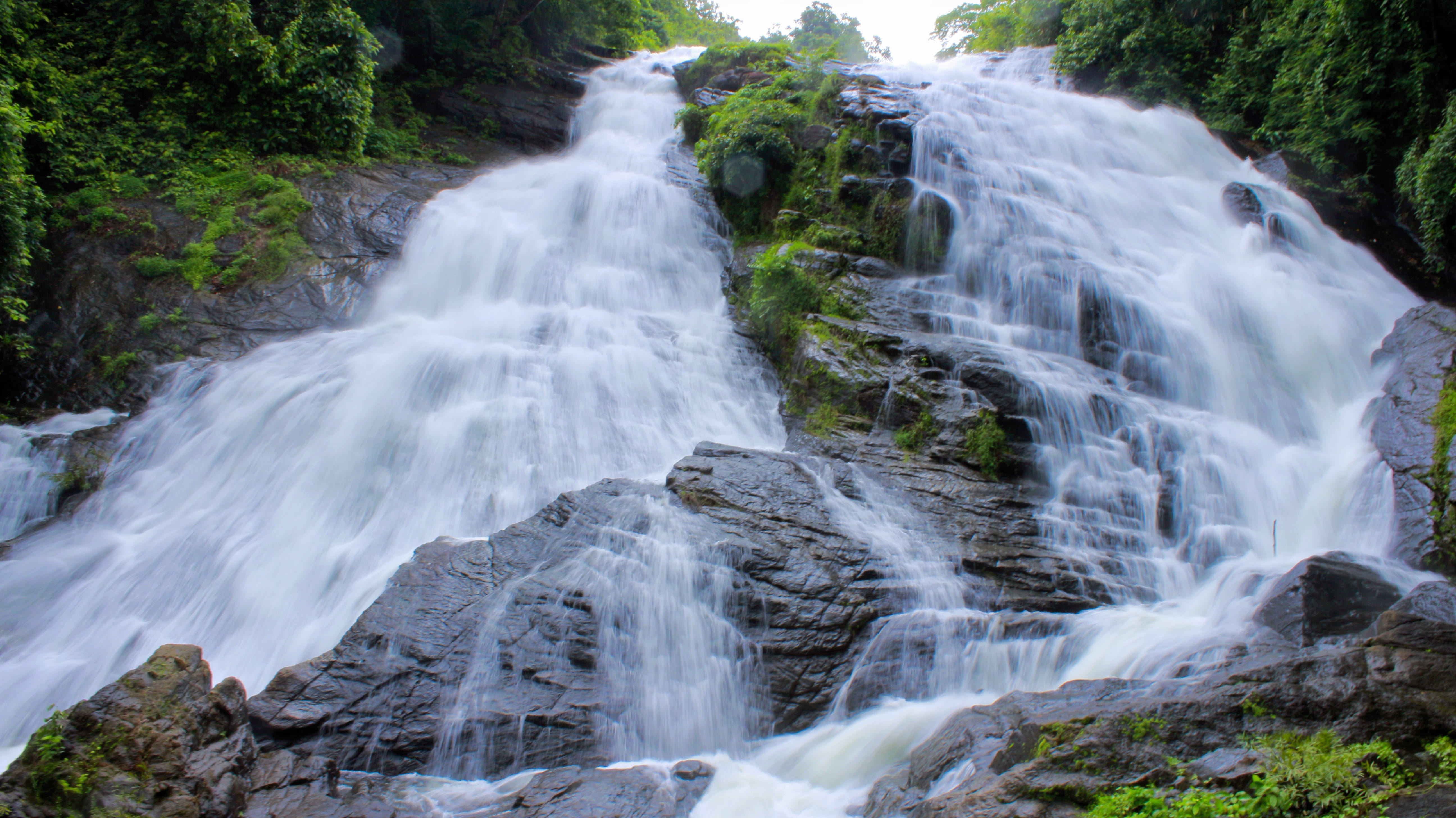 beauty in nature, rock - object, outdoors, power in nature, flowing, forest, fall, solid, waterfalls, blurred motion, nature, rainforest, flow, rock, environment, HD Wallpaper