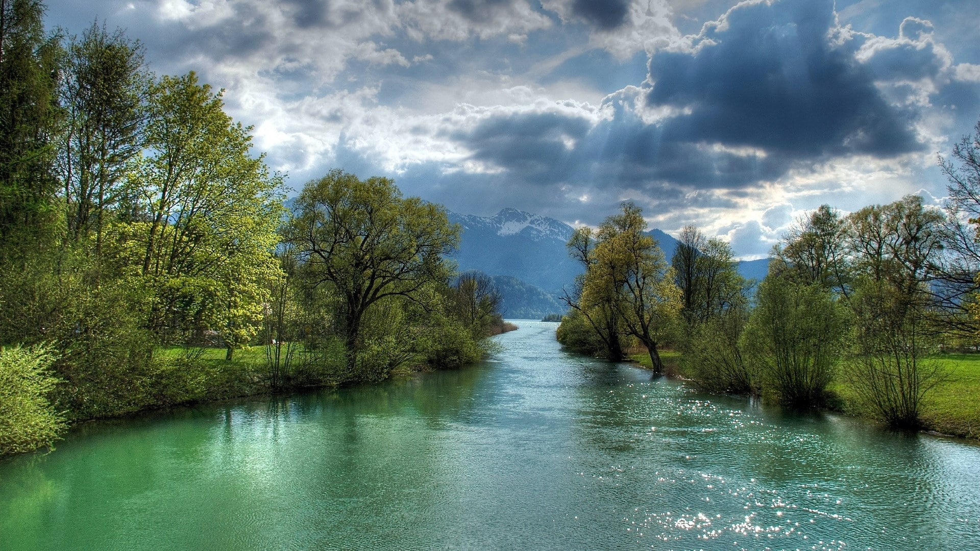 reflection, no people, tranquility, water, download nature background images 1920x1080, river, day, plant, beauty in nature, green color, nature, growth, HD Wallpaper