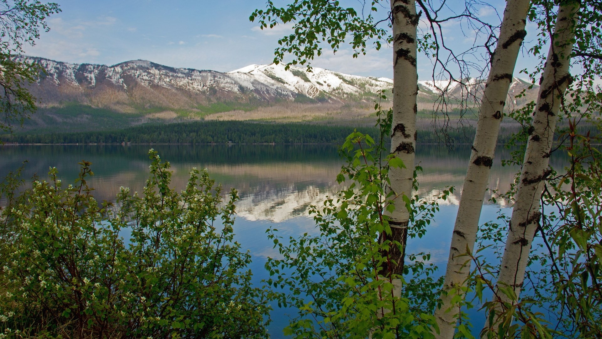 scenics - nature, lake, tree, travel destinations, plant, mountain, sky, download nature background images 1920x1080, water, tranquil scene, beauty in nature, HD Wallpaper