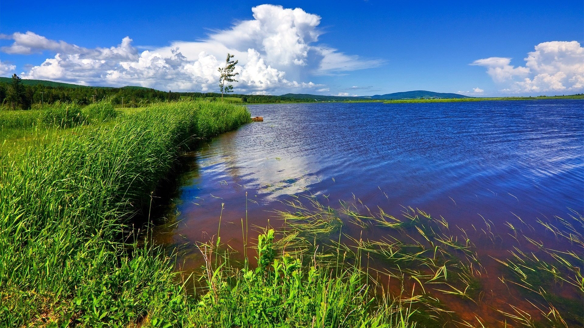 download nature background images 1920x1080, 1080P, HD Wallpaper