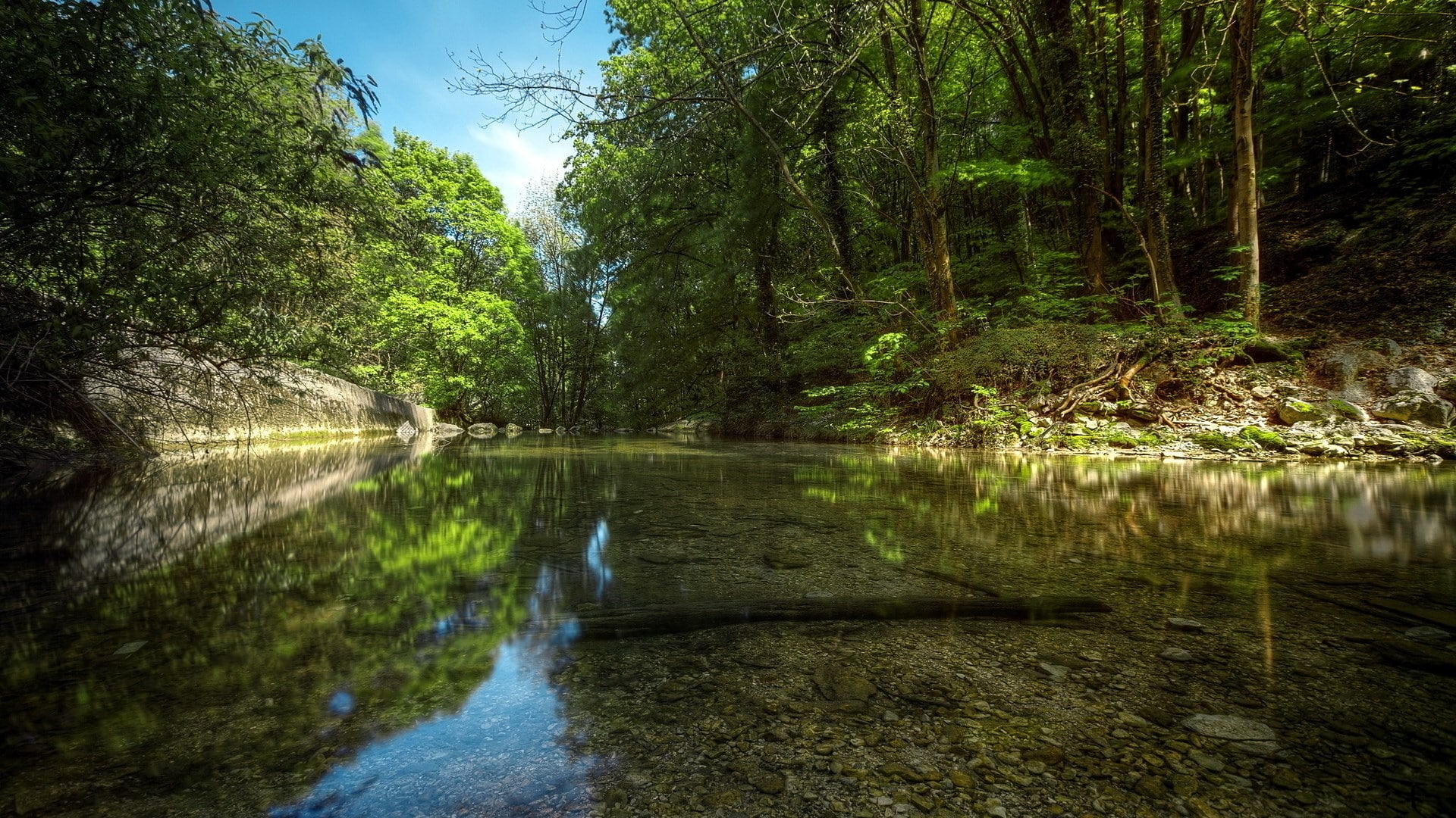 download nature background images 1920x1080, 1080P, HD Wallpaper
